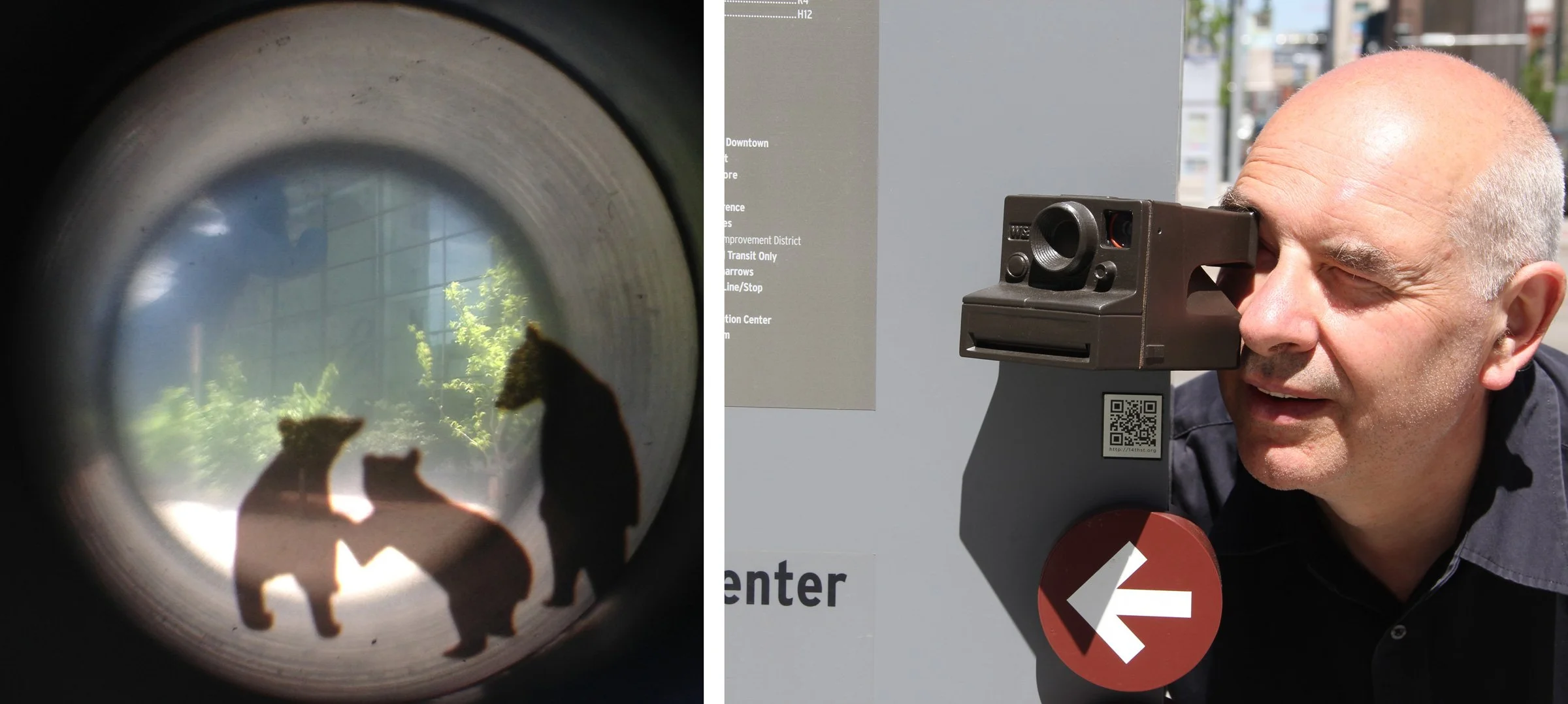 An instant camera adds some cubs to the big blue bear