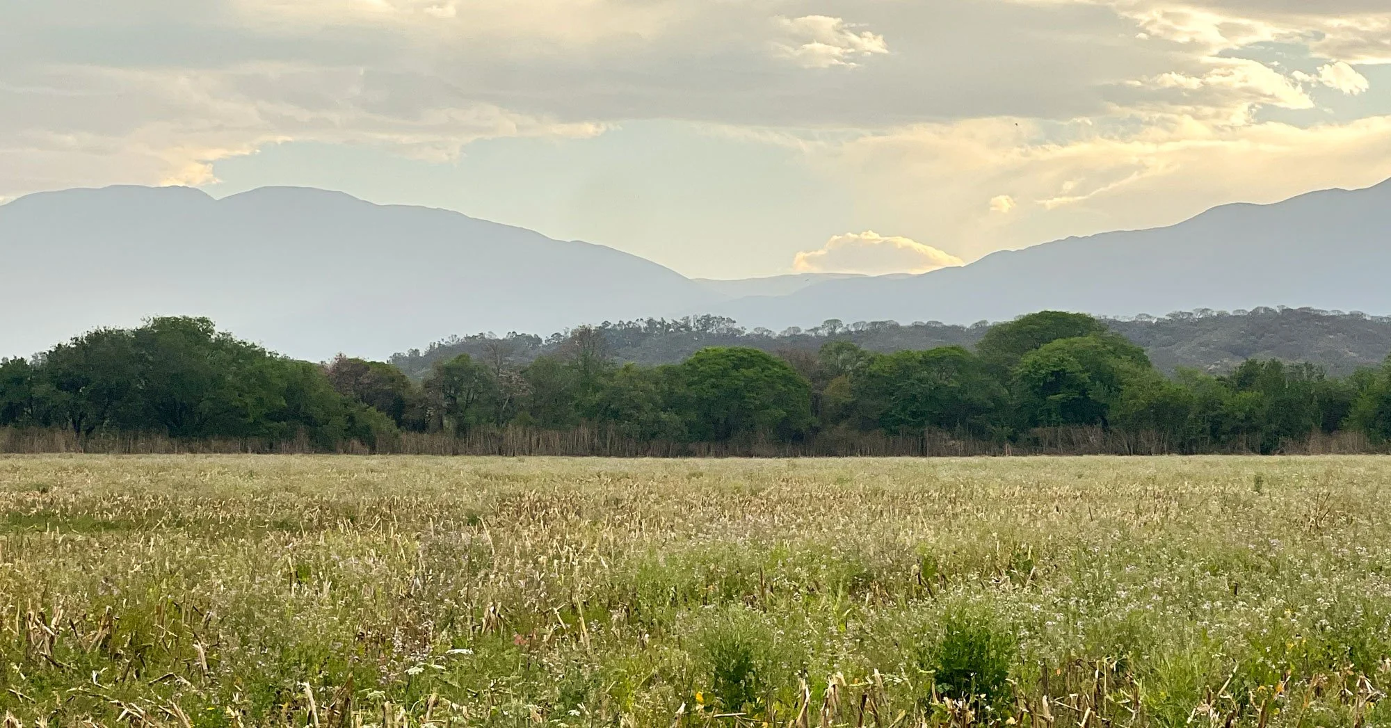 Paisaje natural con campo verde, árboles y montañas en el fondo, cielo nublado