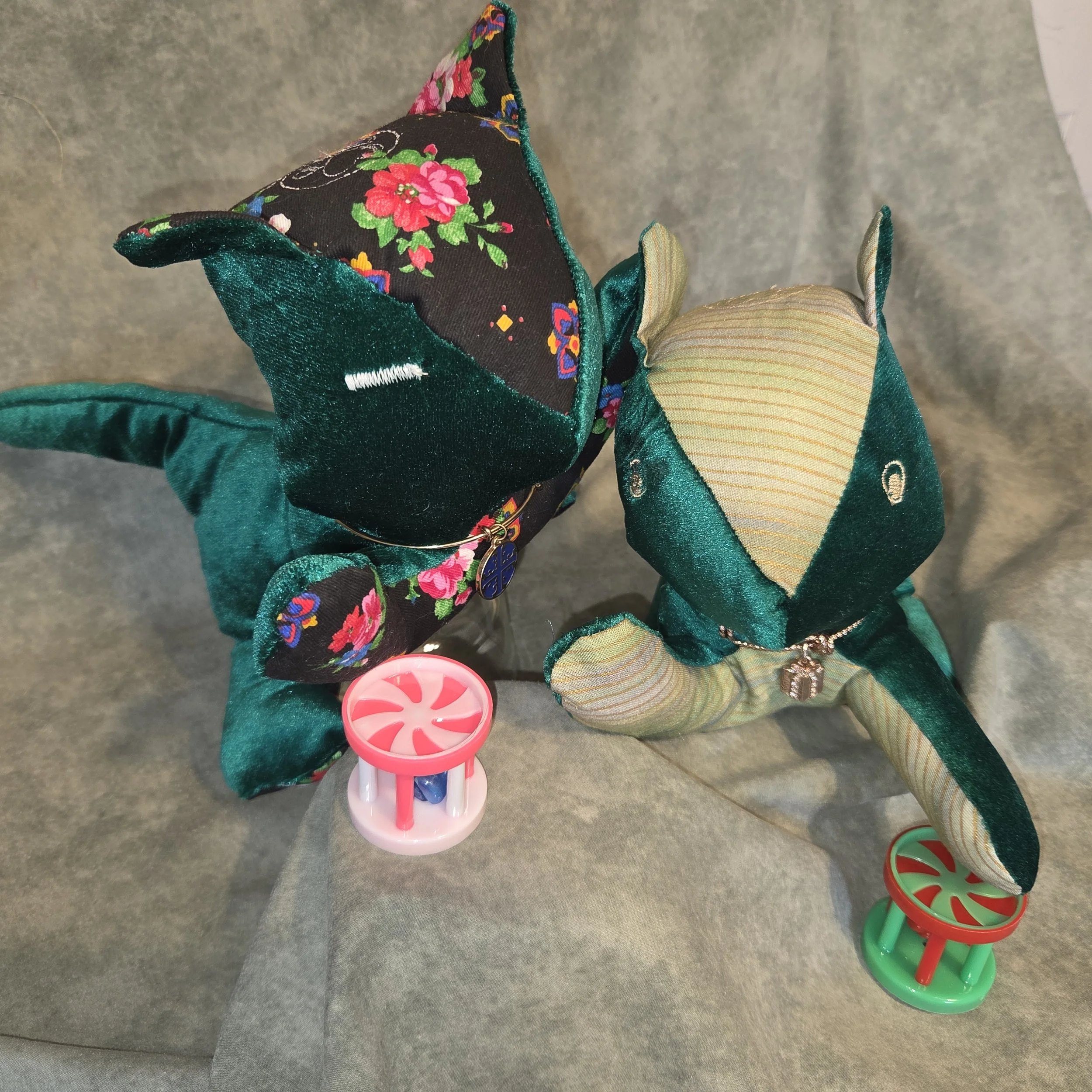 Petey,  the blind Cat