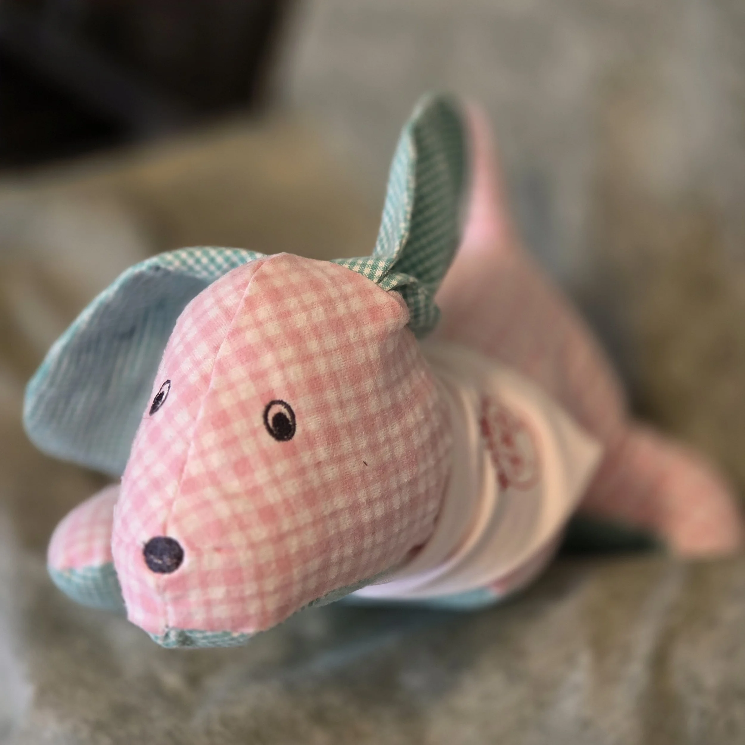 Rosie, the tripawd dog