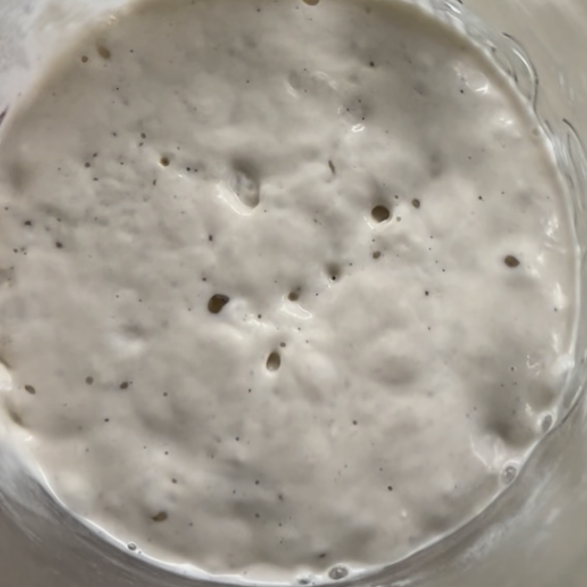 Gluten Free Sourdough Starter 101