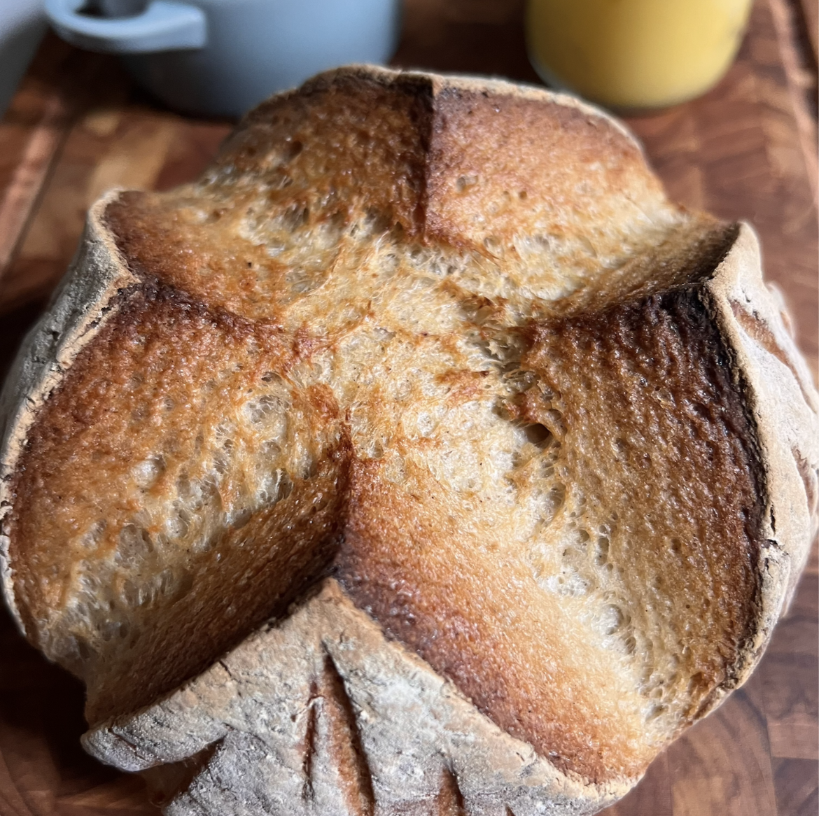 Gluten Free Sourdough Bread Recipe