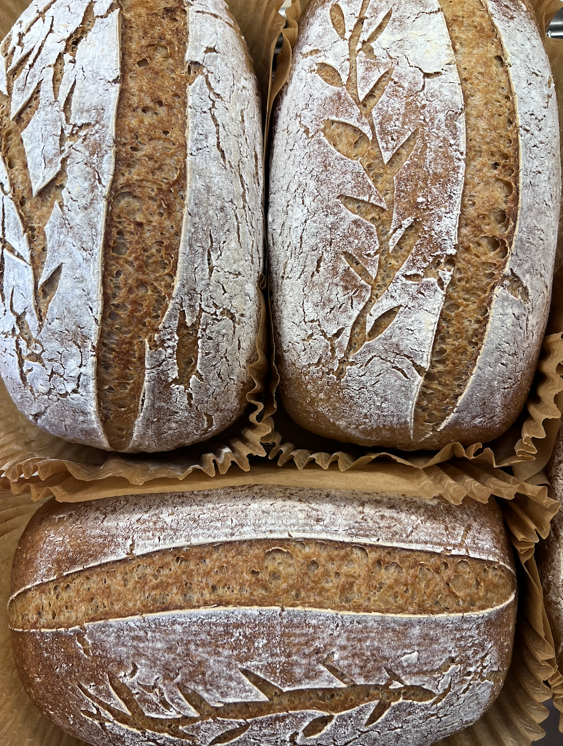 Screenshot 2026-01-11 at 7.34.00 PM.png