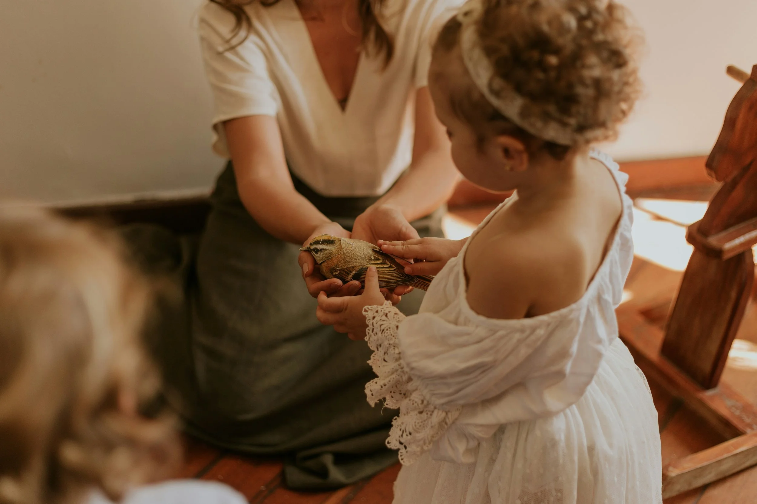 A young girl in a white dress touching a bird.