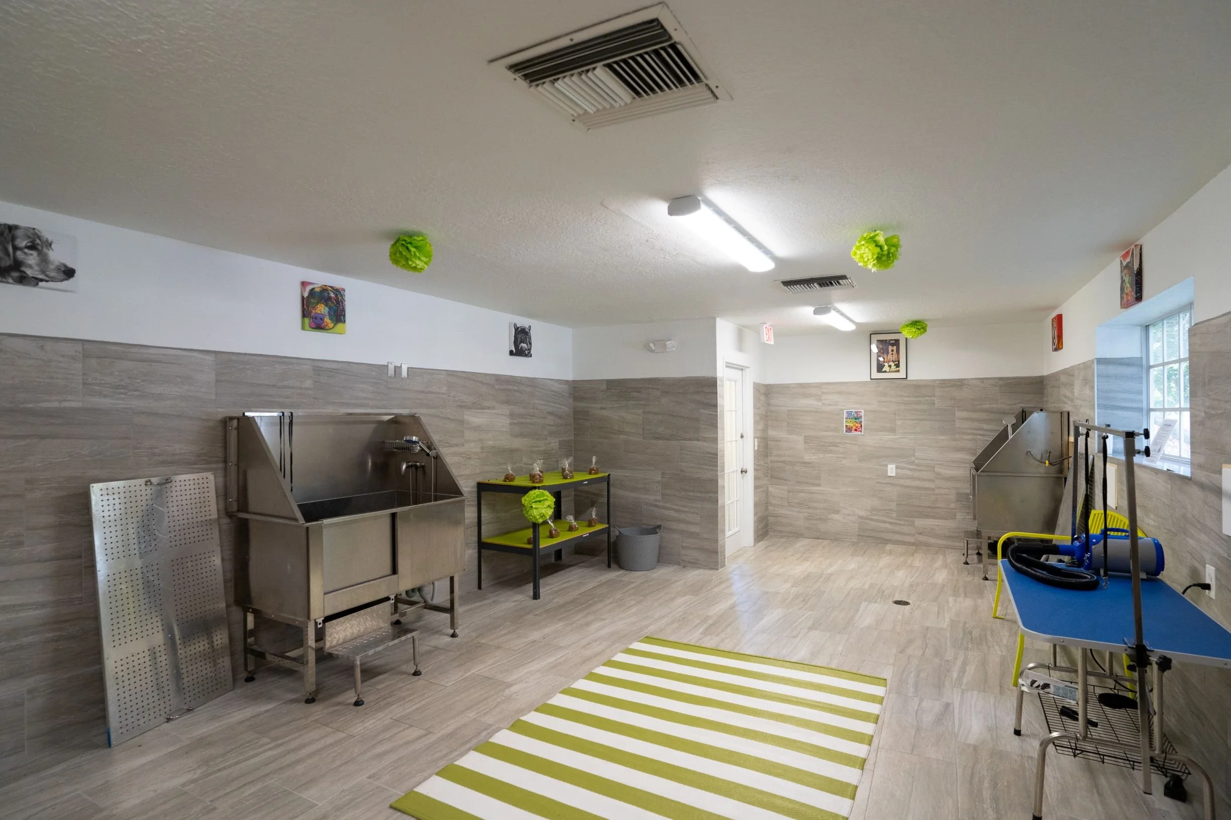 A spacious indoor dog wash area with stainless steel sinks, grooming tables, artwork on the walls, and a large striped rug on the tiled floor.
