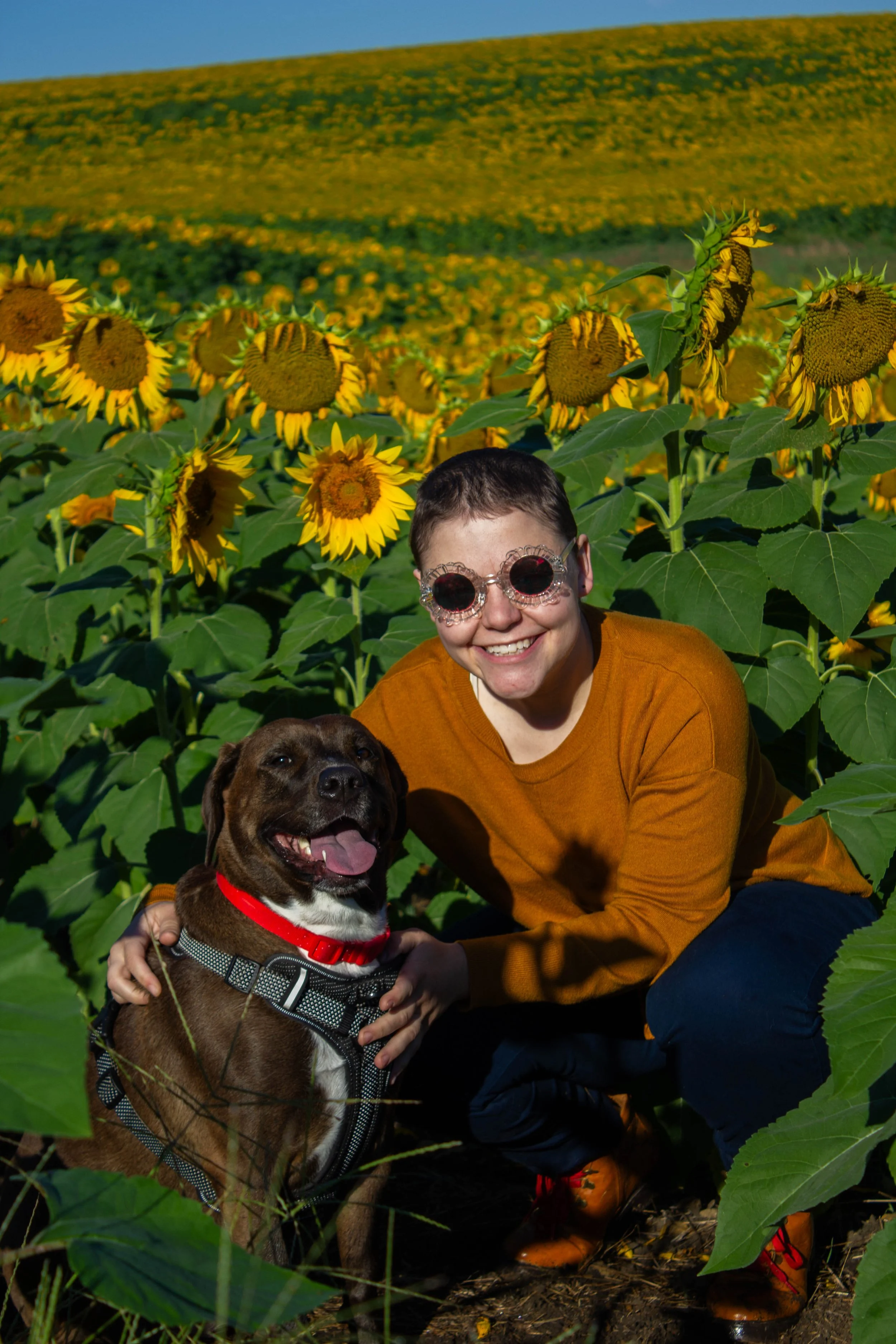 A person and their dog in a sunflower field, smiling for the camera.