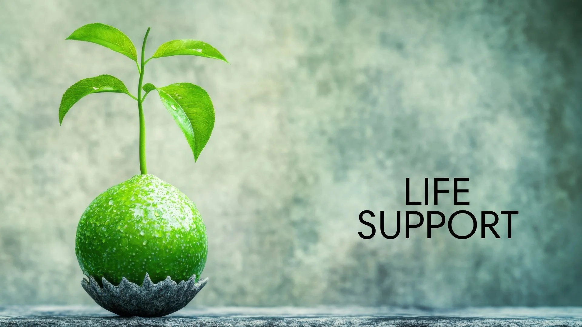 Life Support
