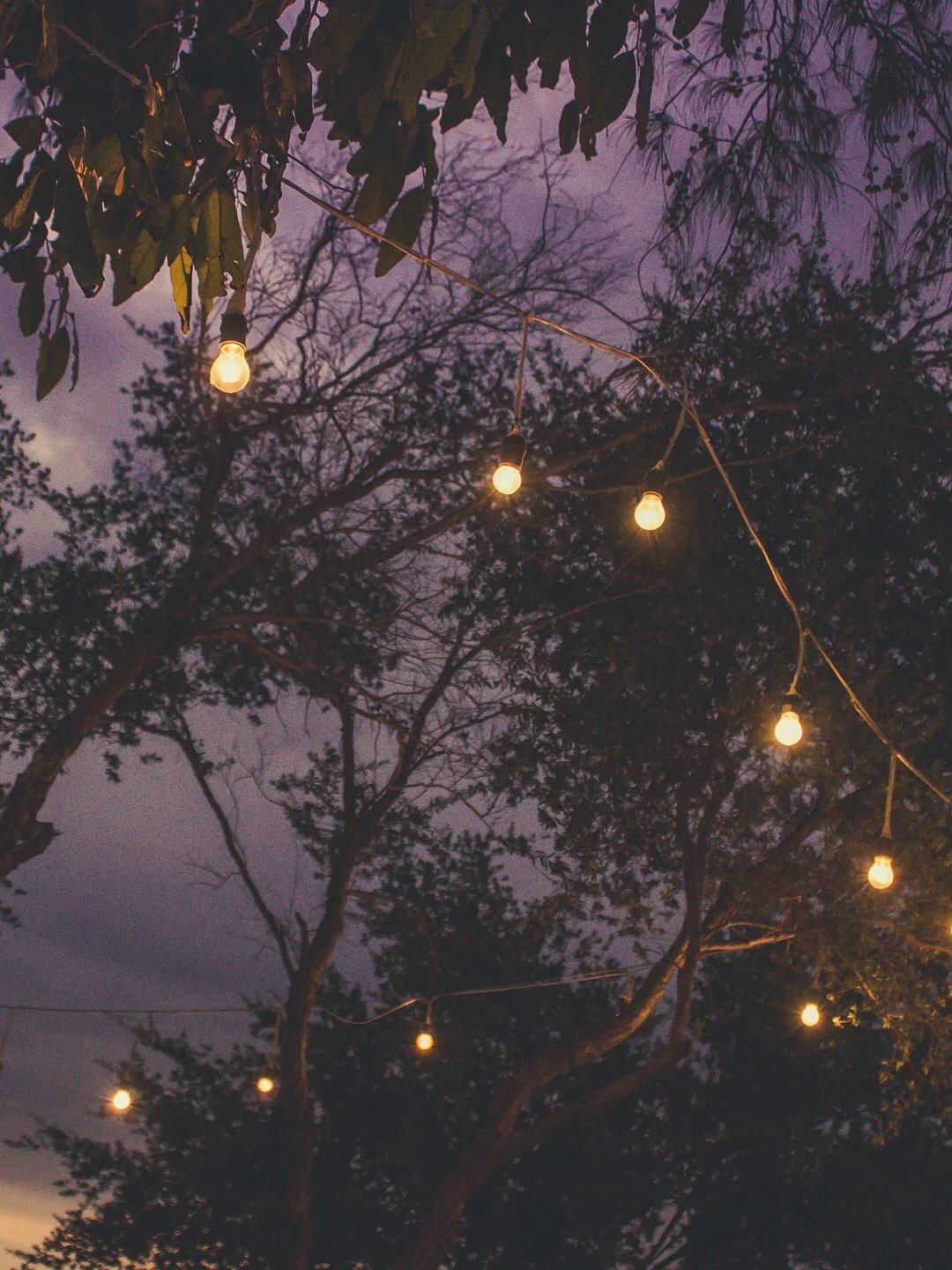 Word-of-mouth built our business because when you deliver real results, your clients do the talking for you.