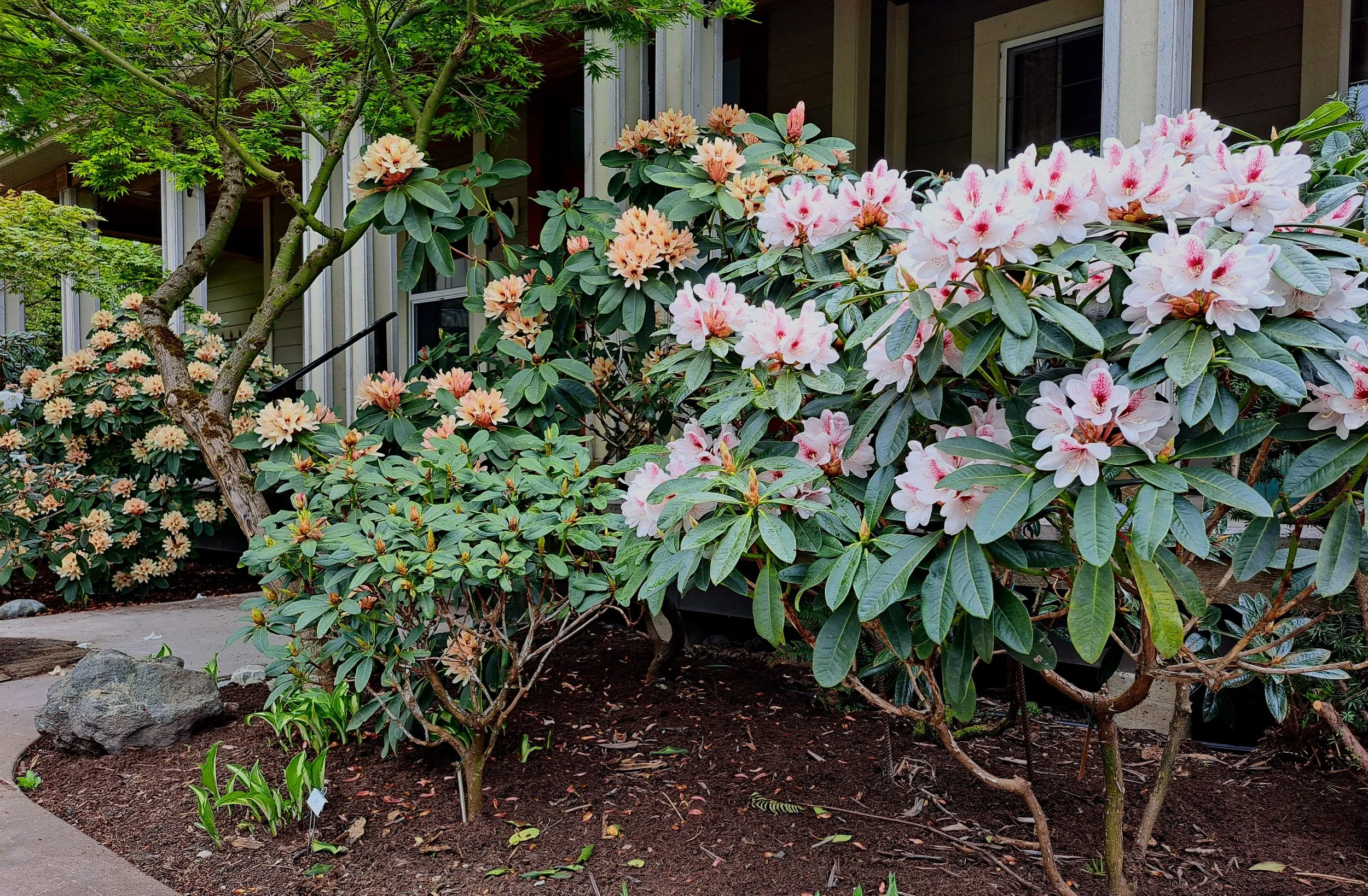 CVRS Monthly Meeting - May