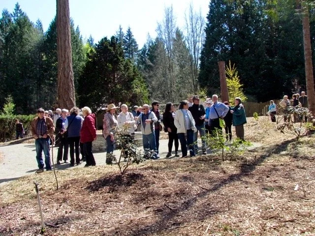 Early Plantings of Phase 1.JPG