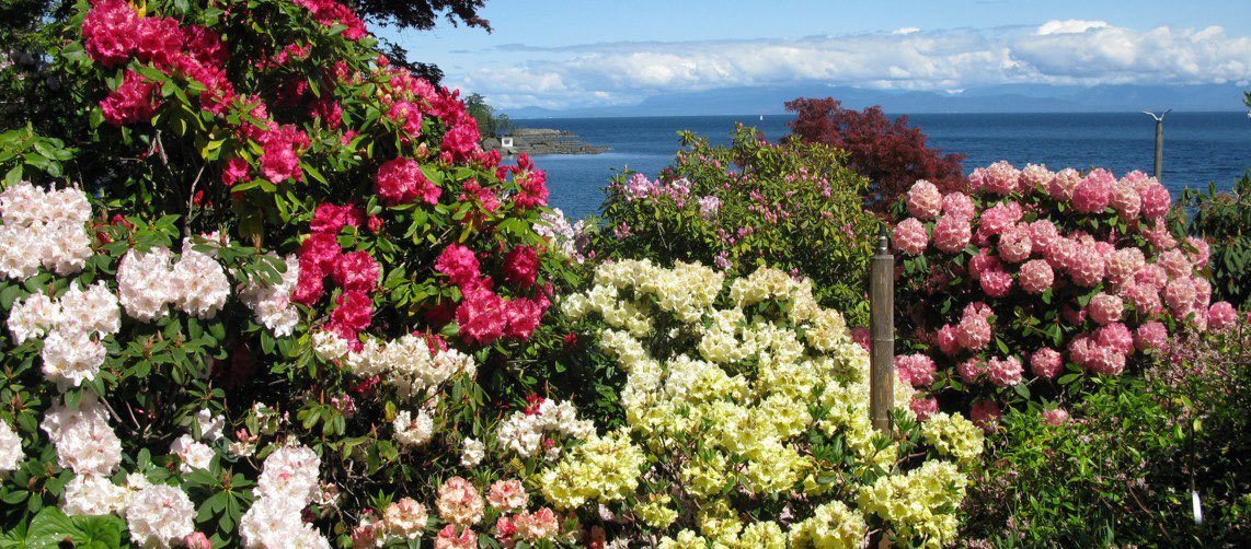 ARS 2026 Spring Convention