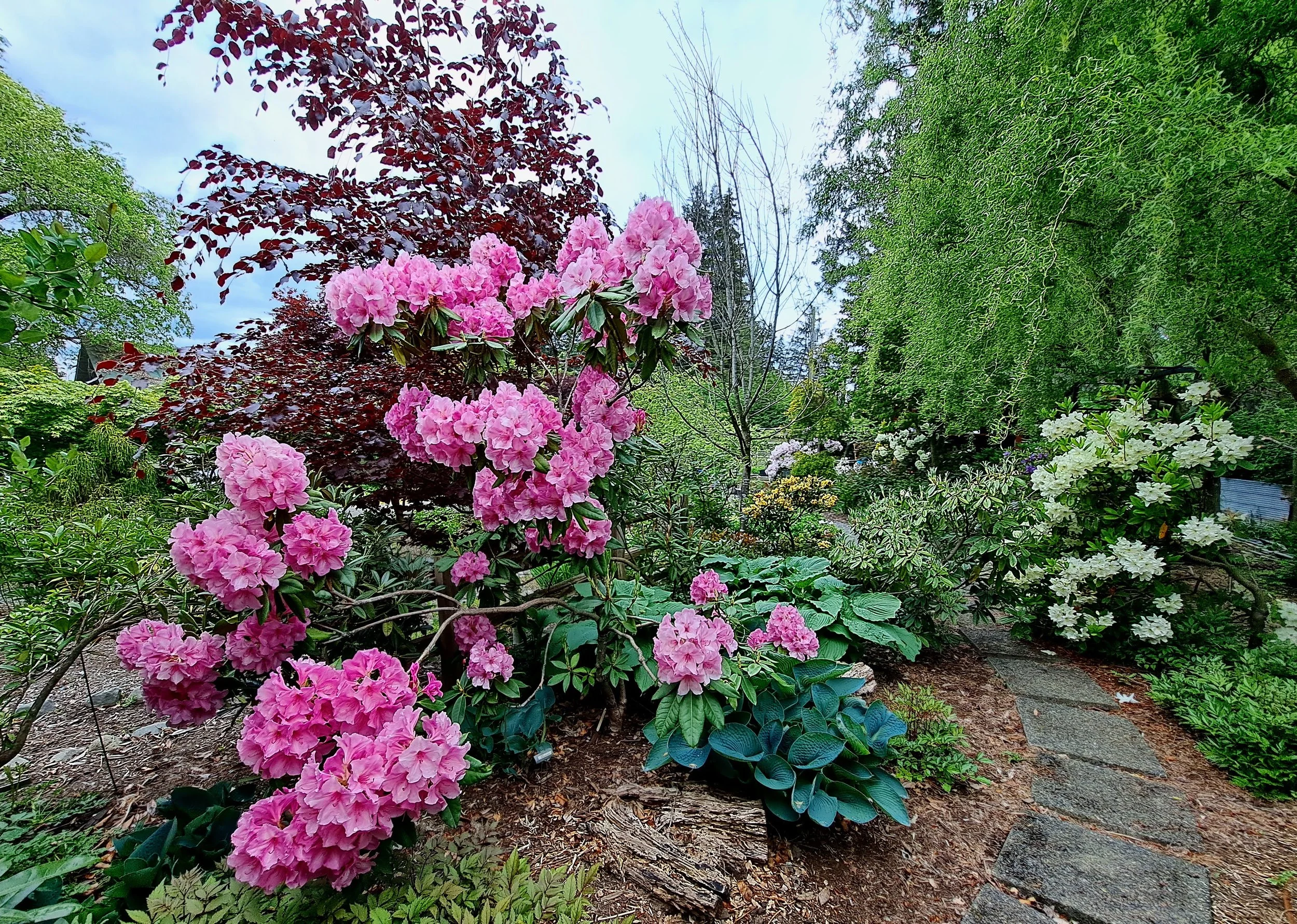 CVRS Public Garden Tour