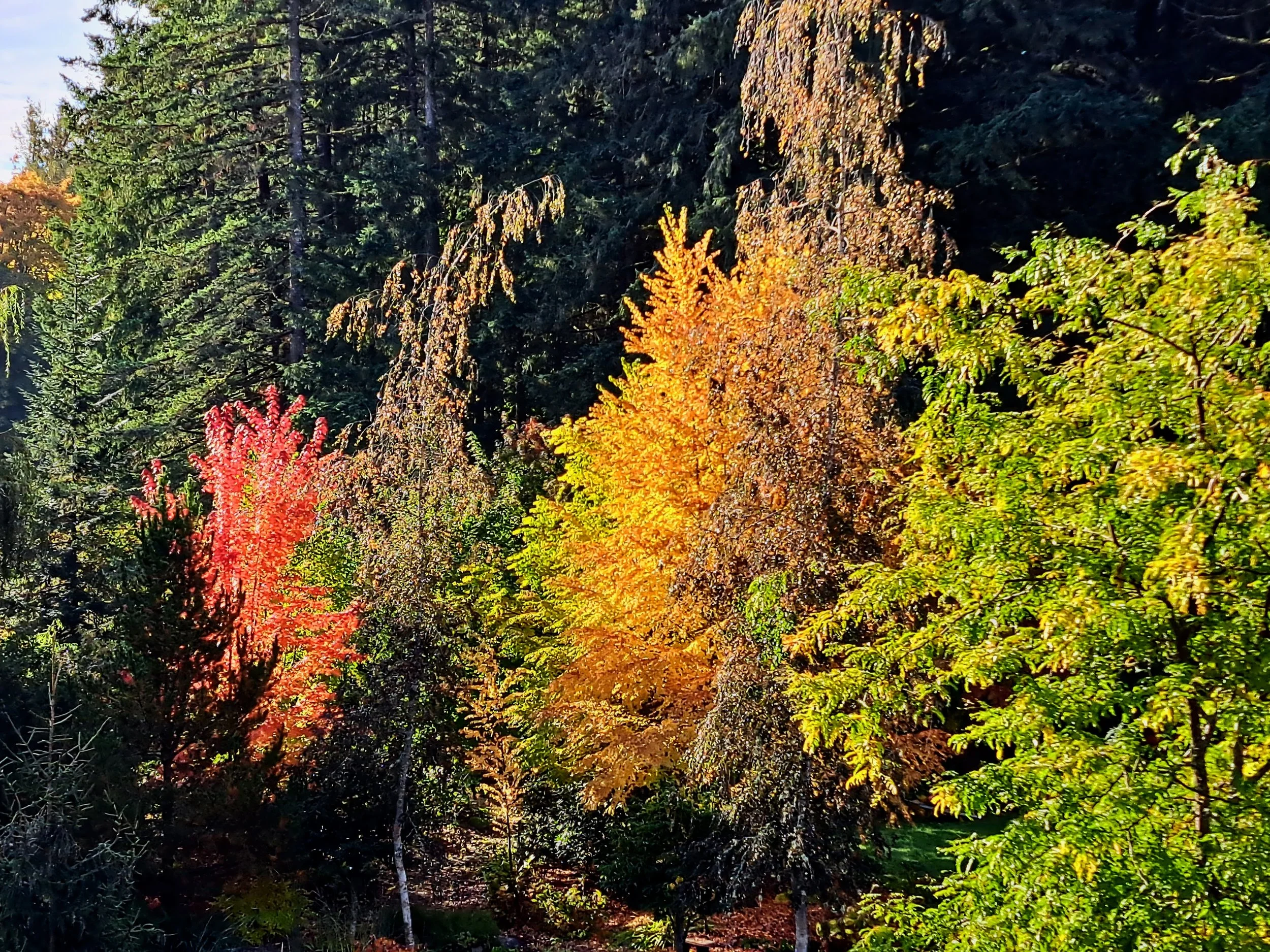 October 2026 Newsletter