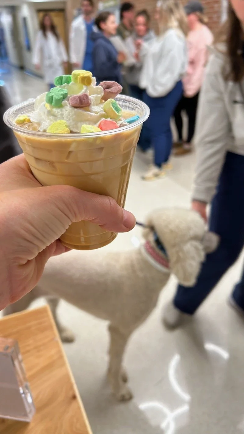Close-up of a hand holding a caramel-flavored frappuccino topped with whipped cream and colorful cereal pieces. In the background, a group of people and a white dog are visible in an indoor setting.