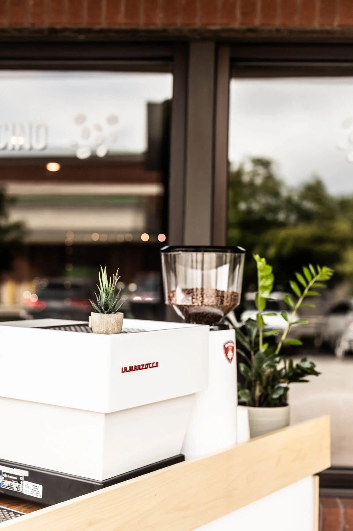 Coffee grinder with potted plants on a wooden surface near a window