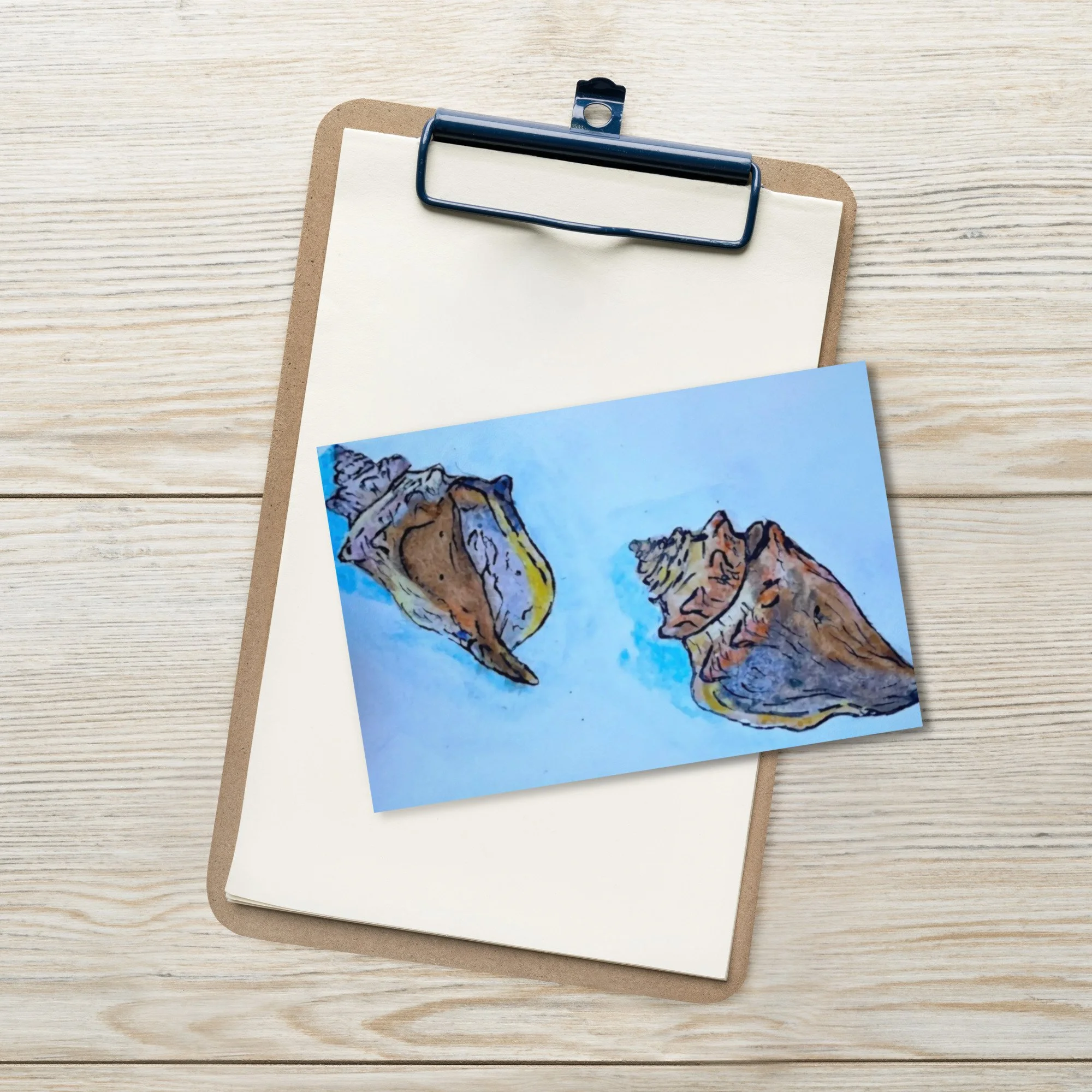 Florida Postcard