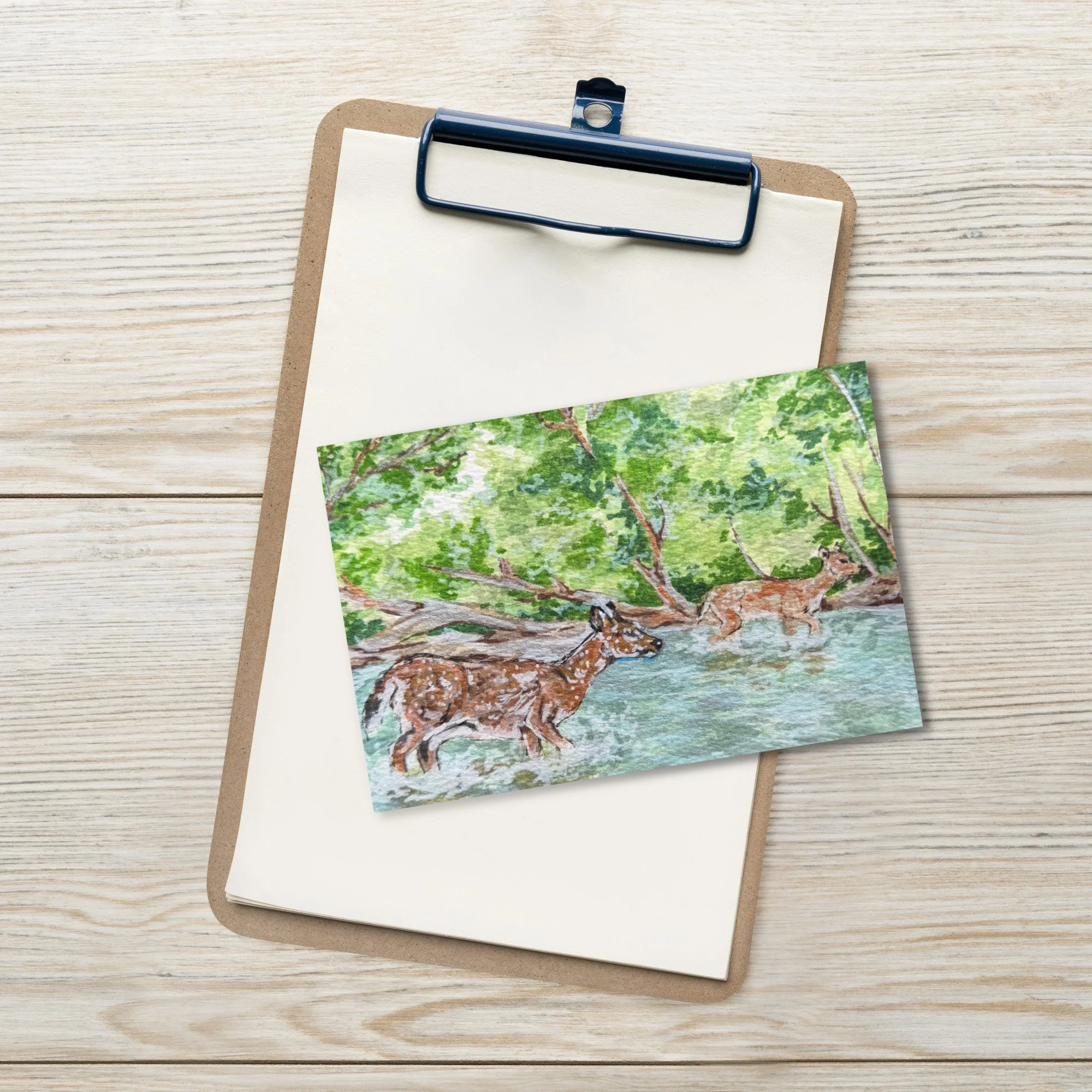 River Crossing Postcard