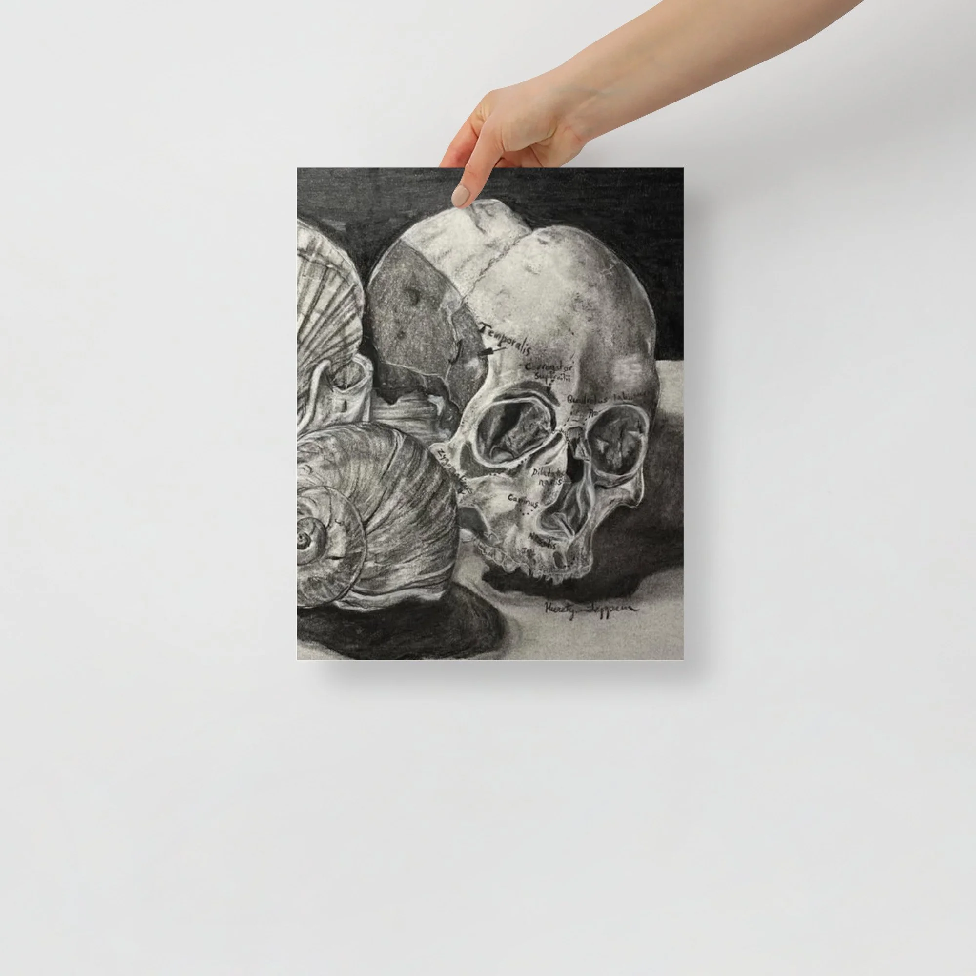 Print 