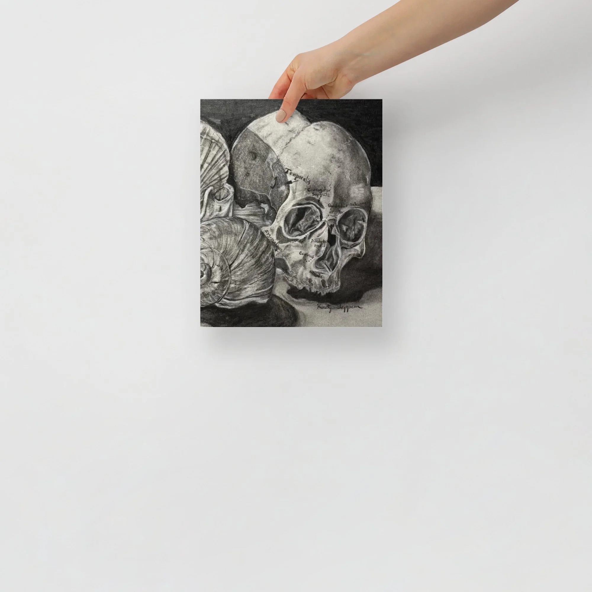 Print 