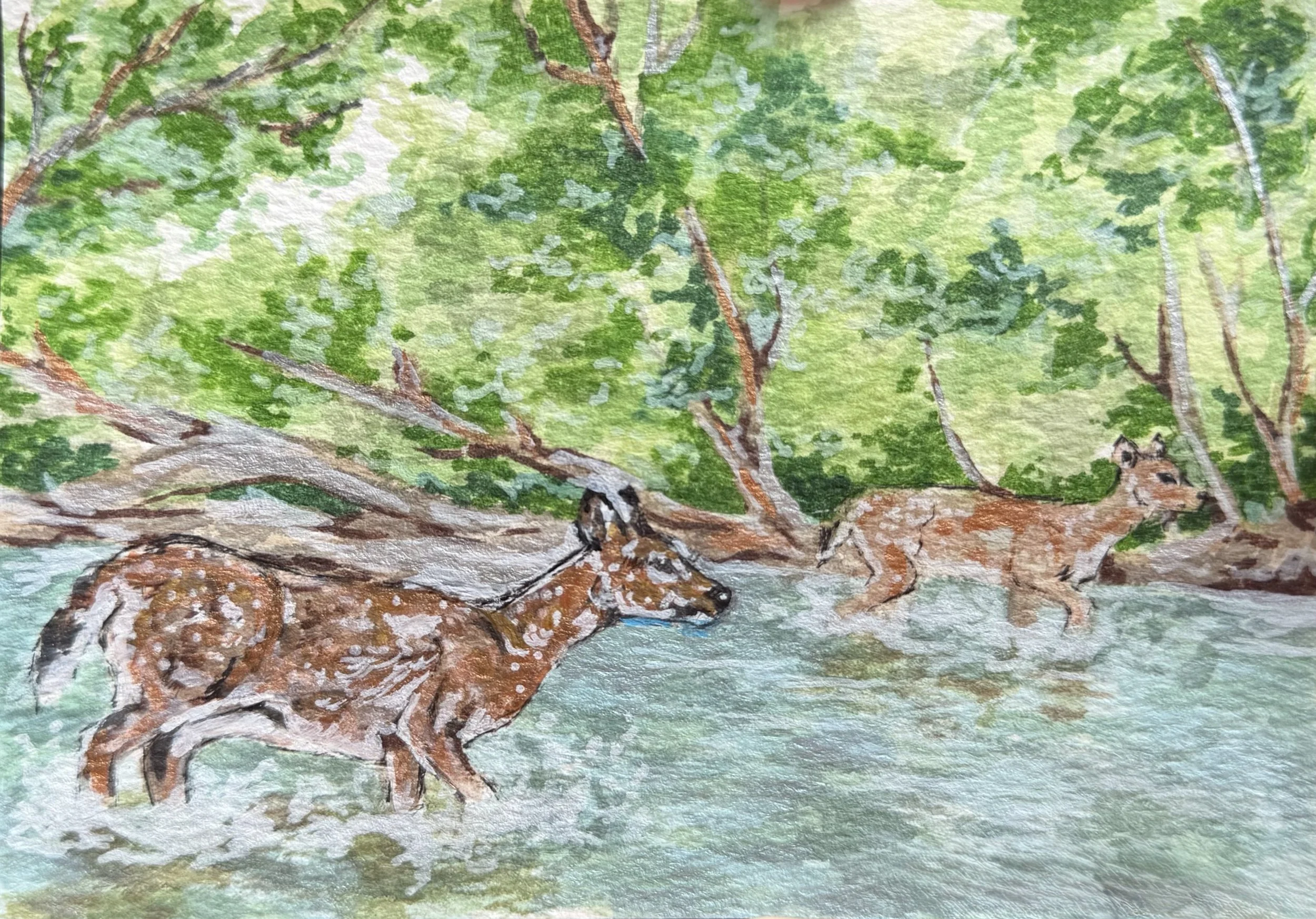 River Crossing.jpg