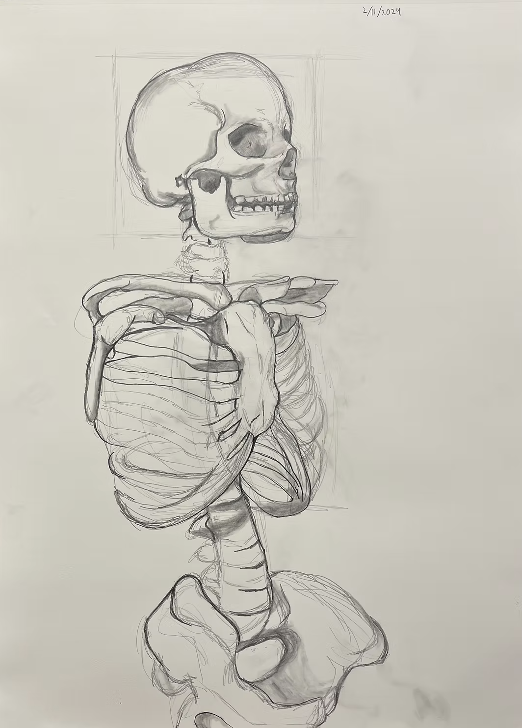 Skeletal Study - focusing on basic anatomy and drawing the skeleton.
