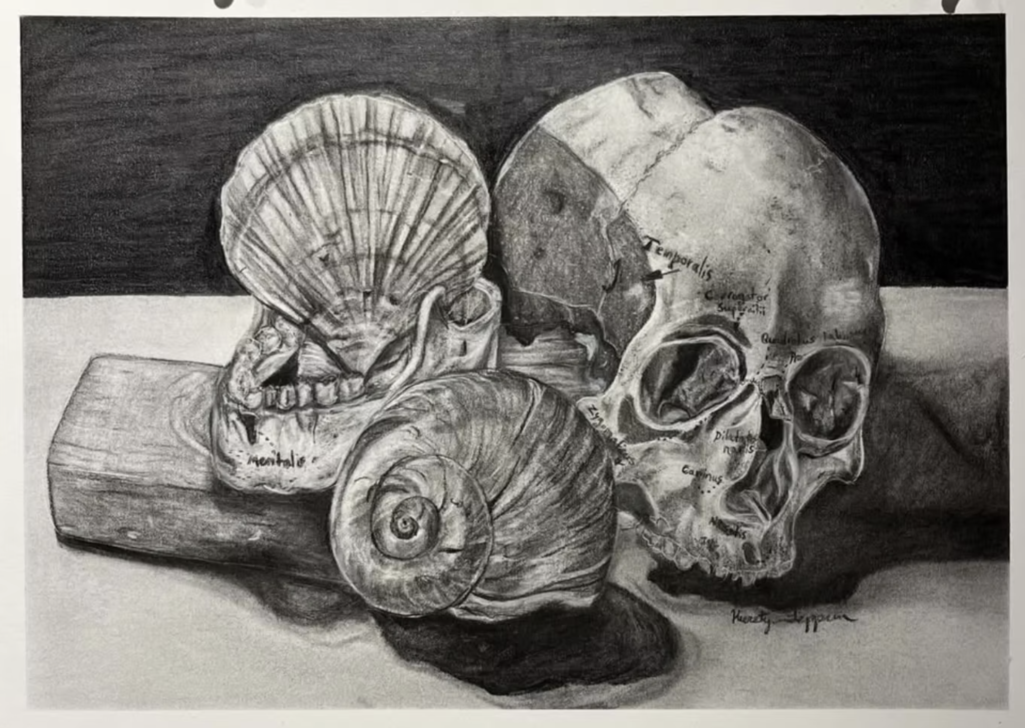 Natural Life Still Life - Using the same skills in the last still life to render more complex objects found in the natural world.