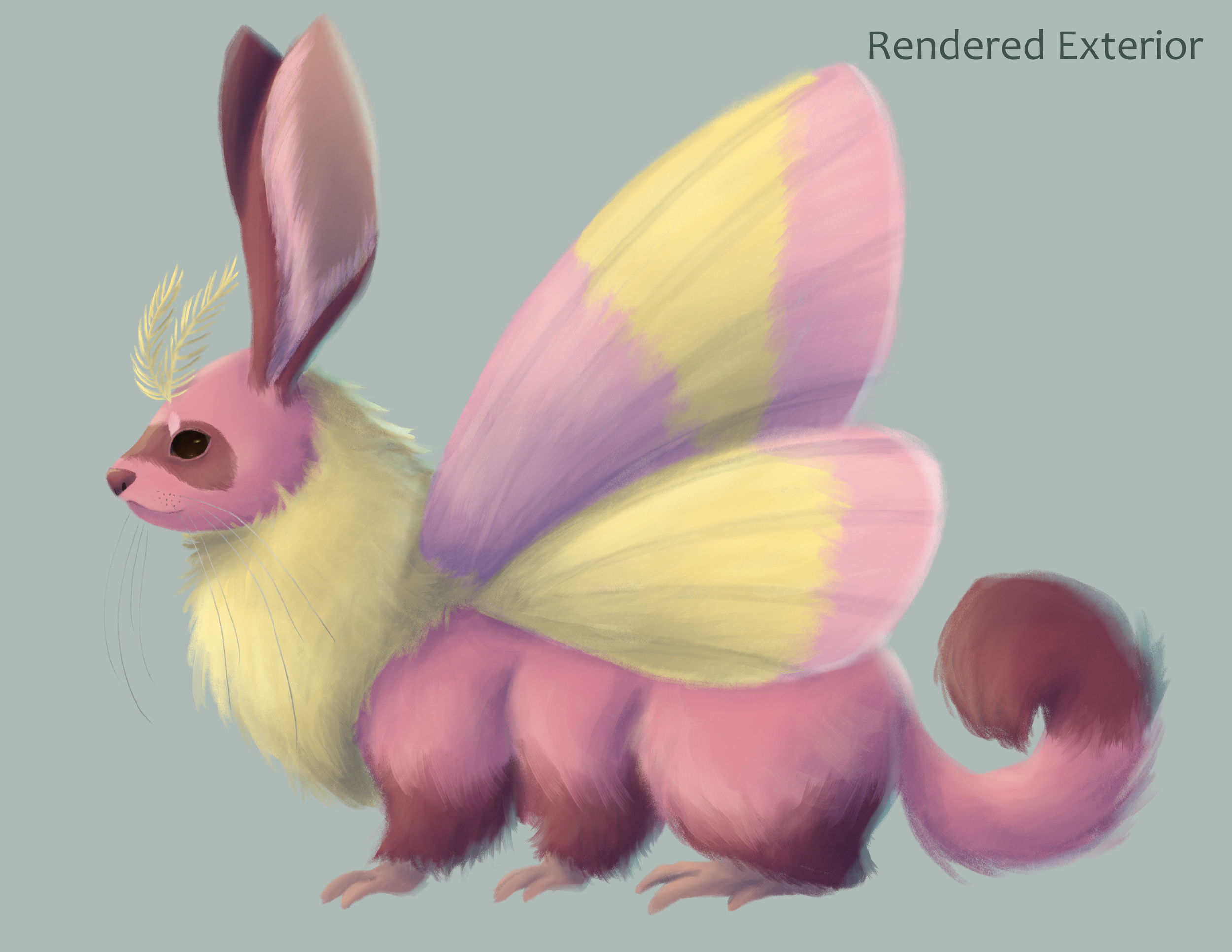 Moth Ferret- Creature Design