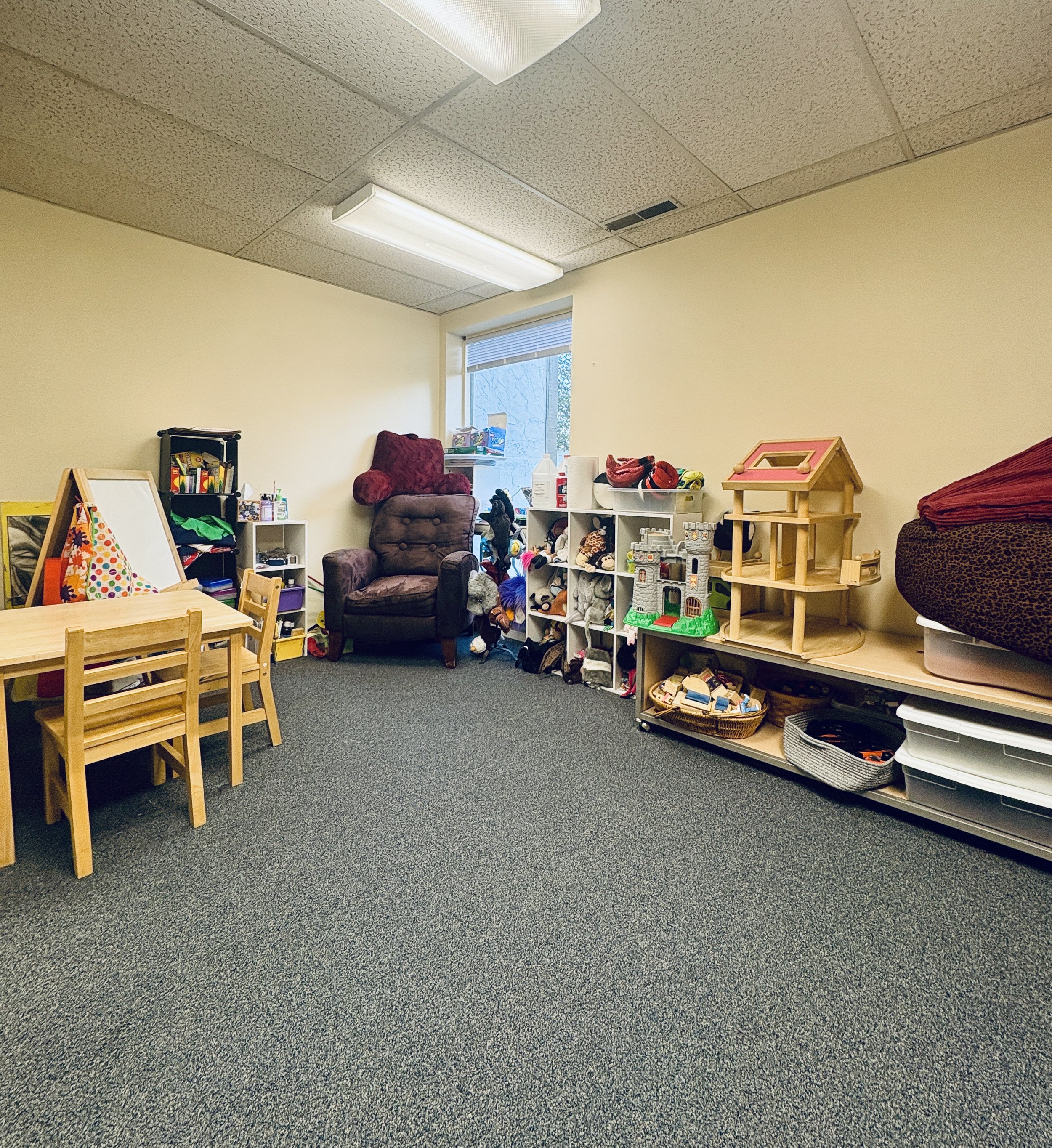 Play Room with several choices of items and toys to play with!