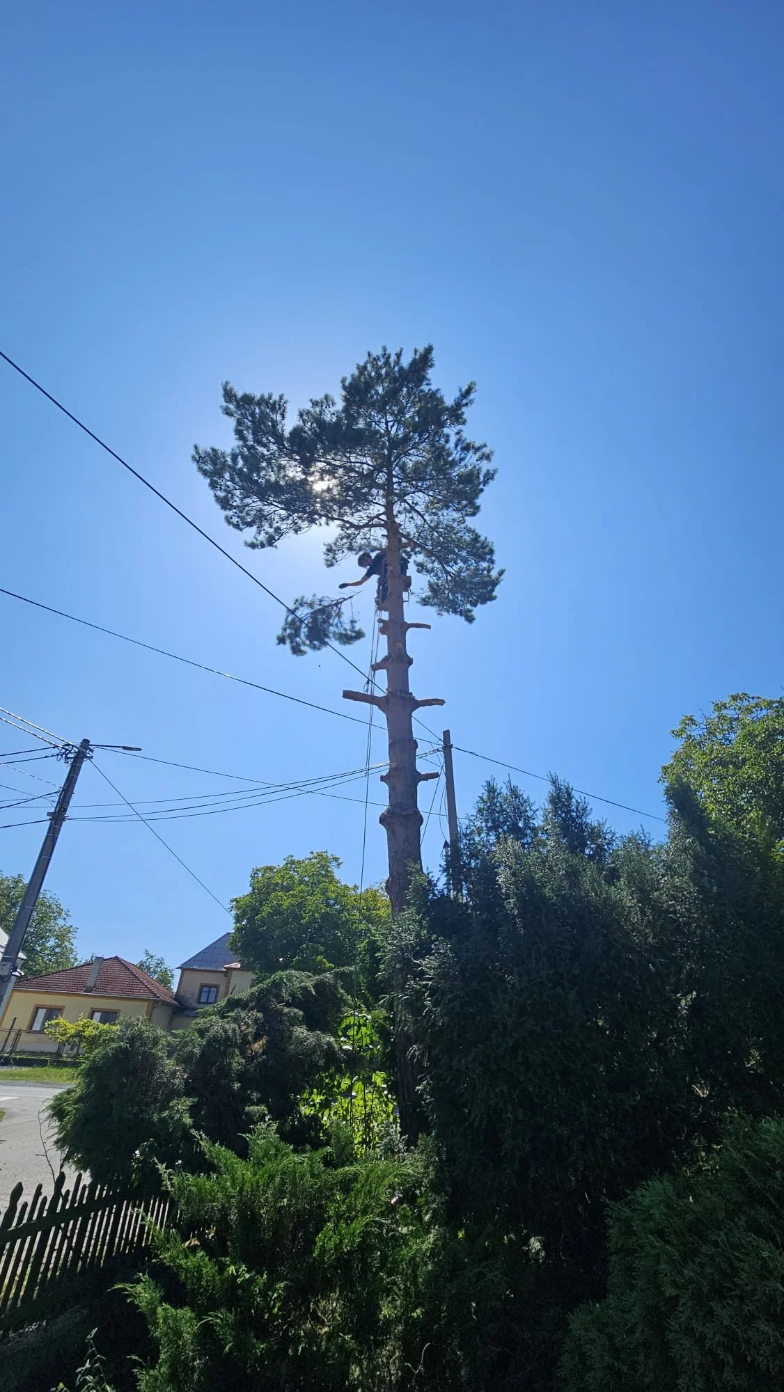 Kácení stromu zasahujicího do elektrického vedení.JPG