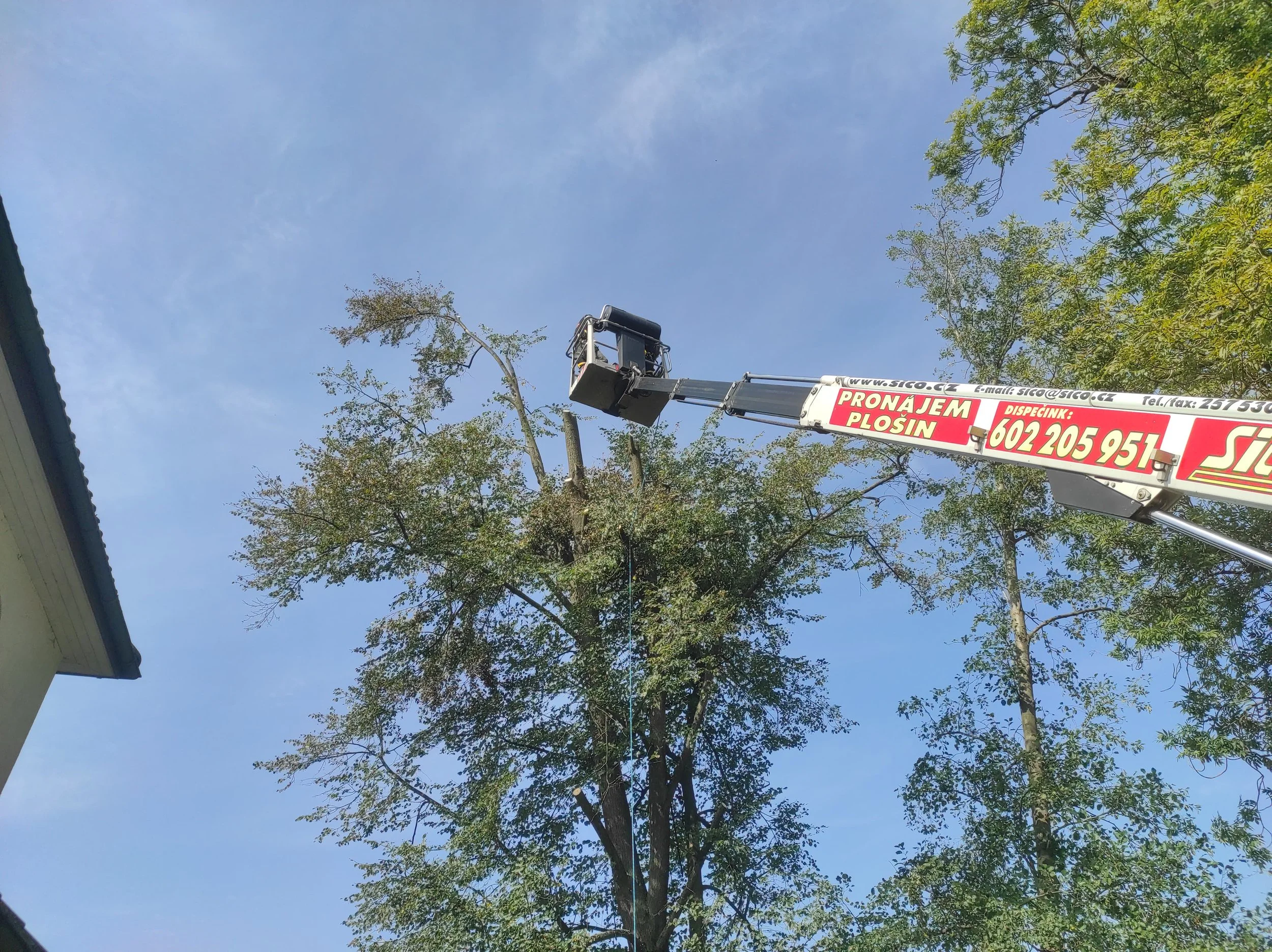 Kácení z plošiny 3.JPG