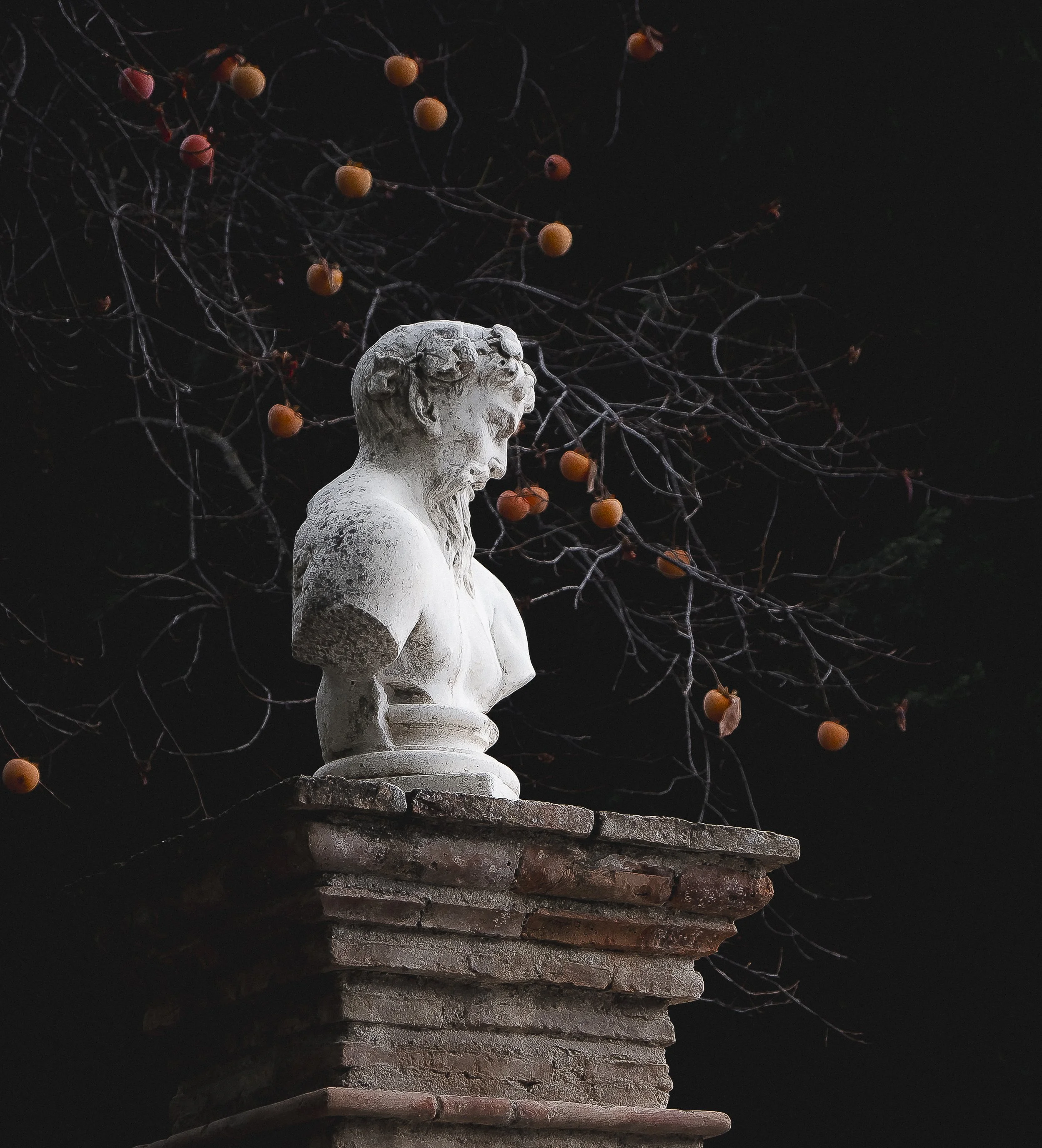 A stone bust of a man with a beard on a brick pedestal, with a leafless tree with orange berries behind it at night.