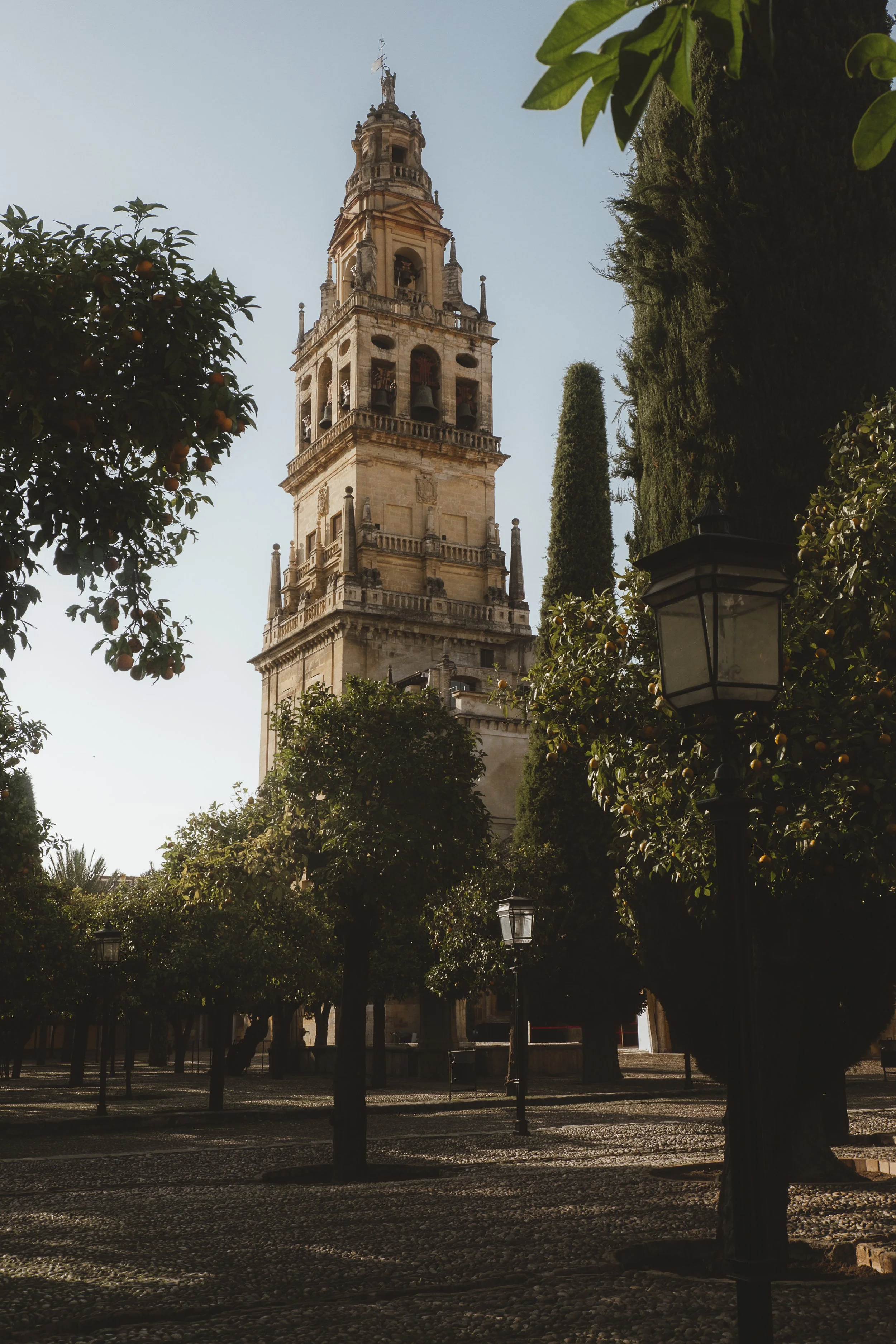 A tall historic clock tower surrounded by trees and lampposts in a park on a clear day.