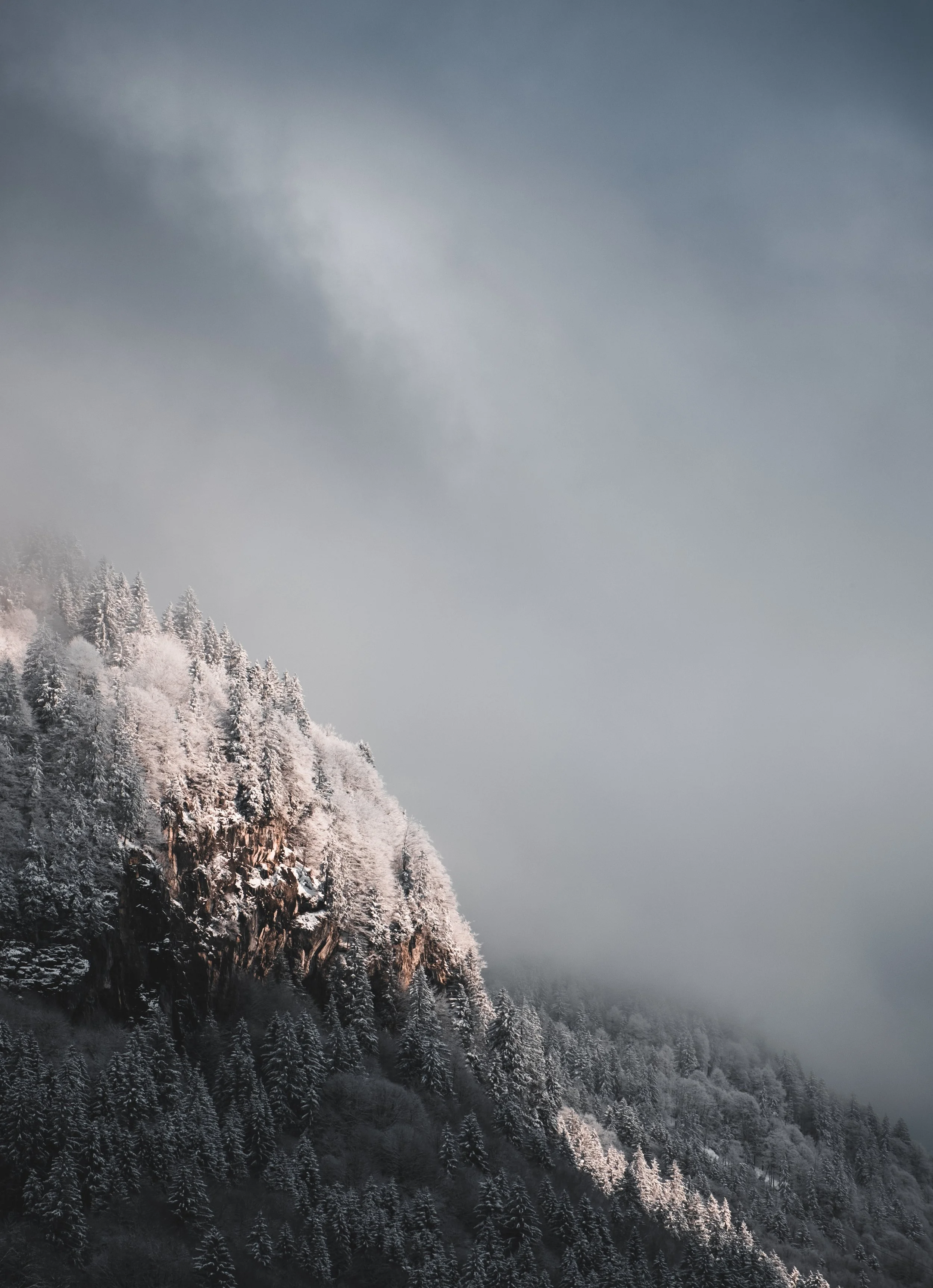 Snow-covered mountain  in Swiss with trees and cloudy sky.