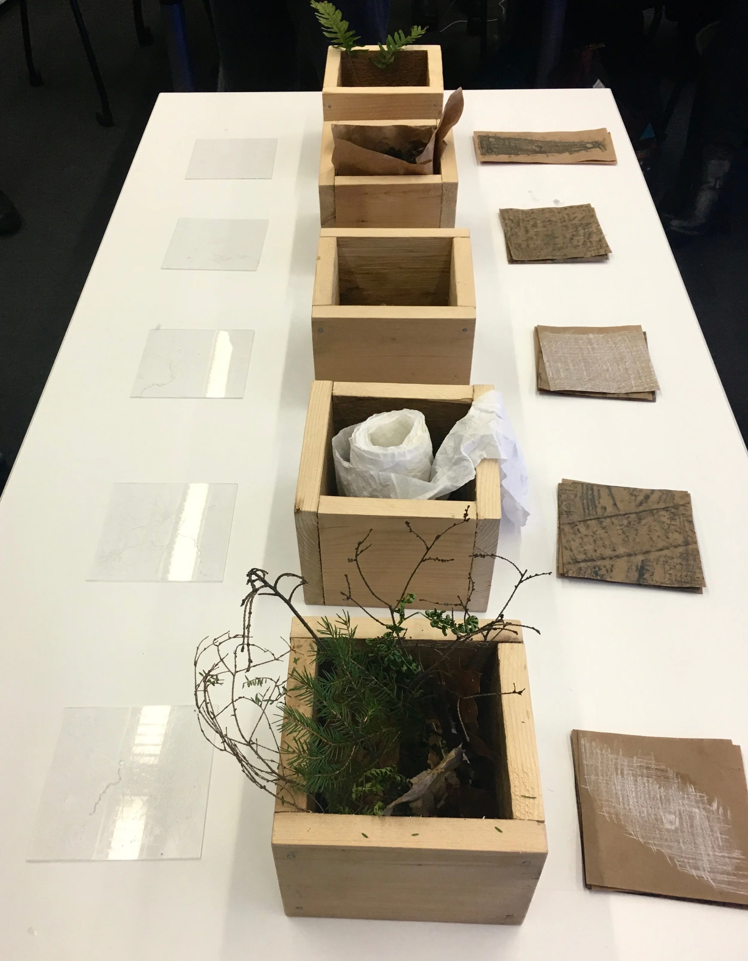 athorntonxhuang_dd_06_haptic boxes.jpeg