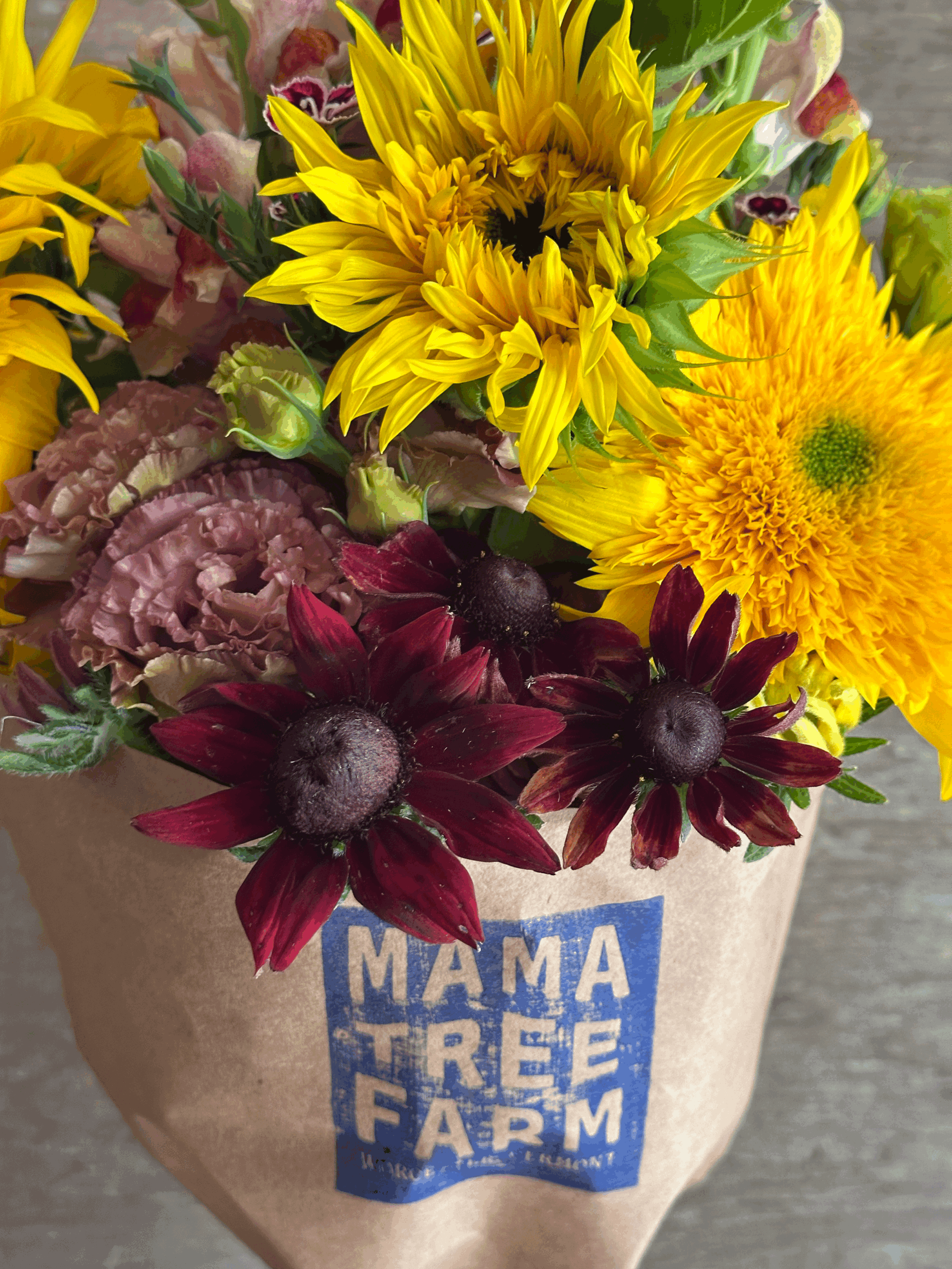 tempImage5wTBey.gif