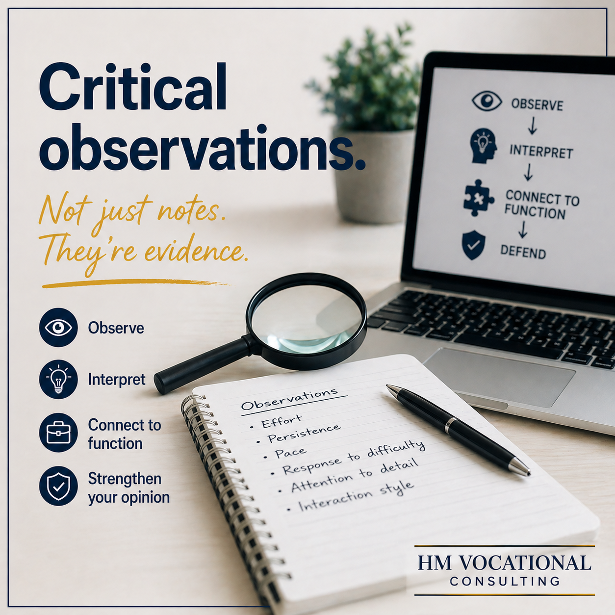 Critical Observations in Vocational Evaluation: More Than Just Notes