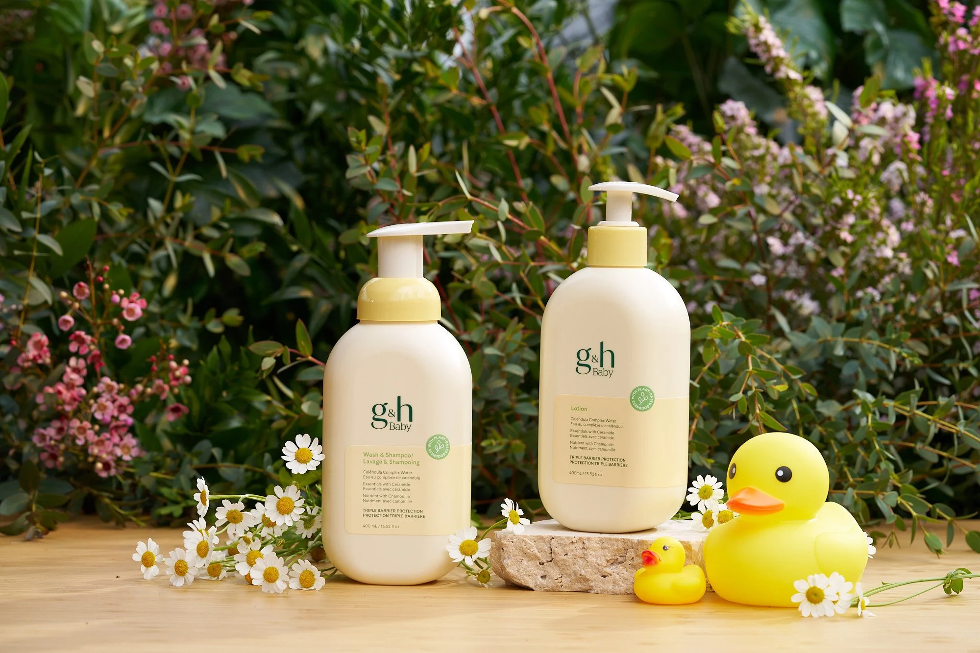 1AMY0039_2nd_Cam_0036 2.jpg