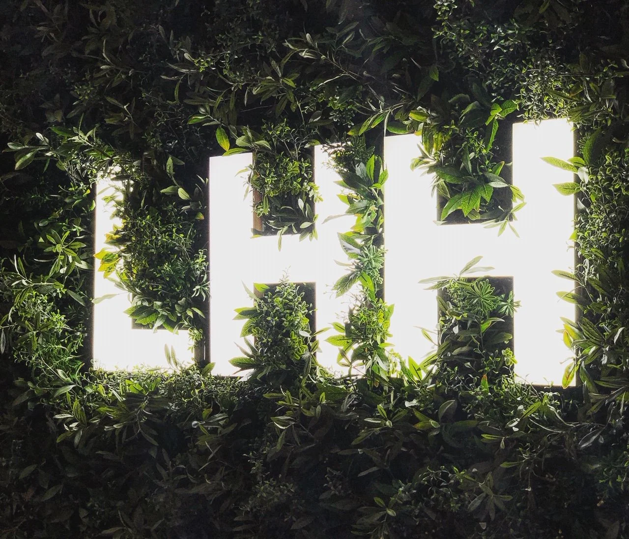 Bright white illuminated letters spelling 'LIFE' surrounded by green leaves and plants.