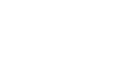 The North Face logo with text and a stylized half-dome graphic in black and white.