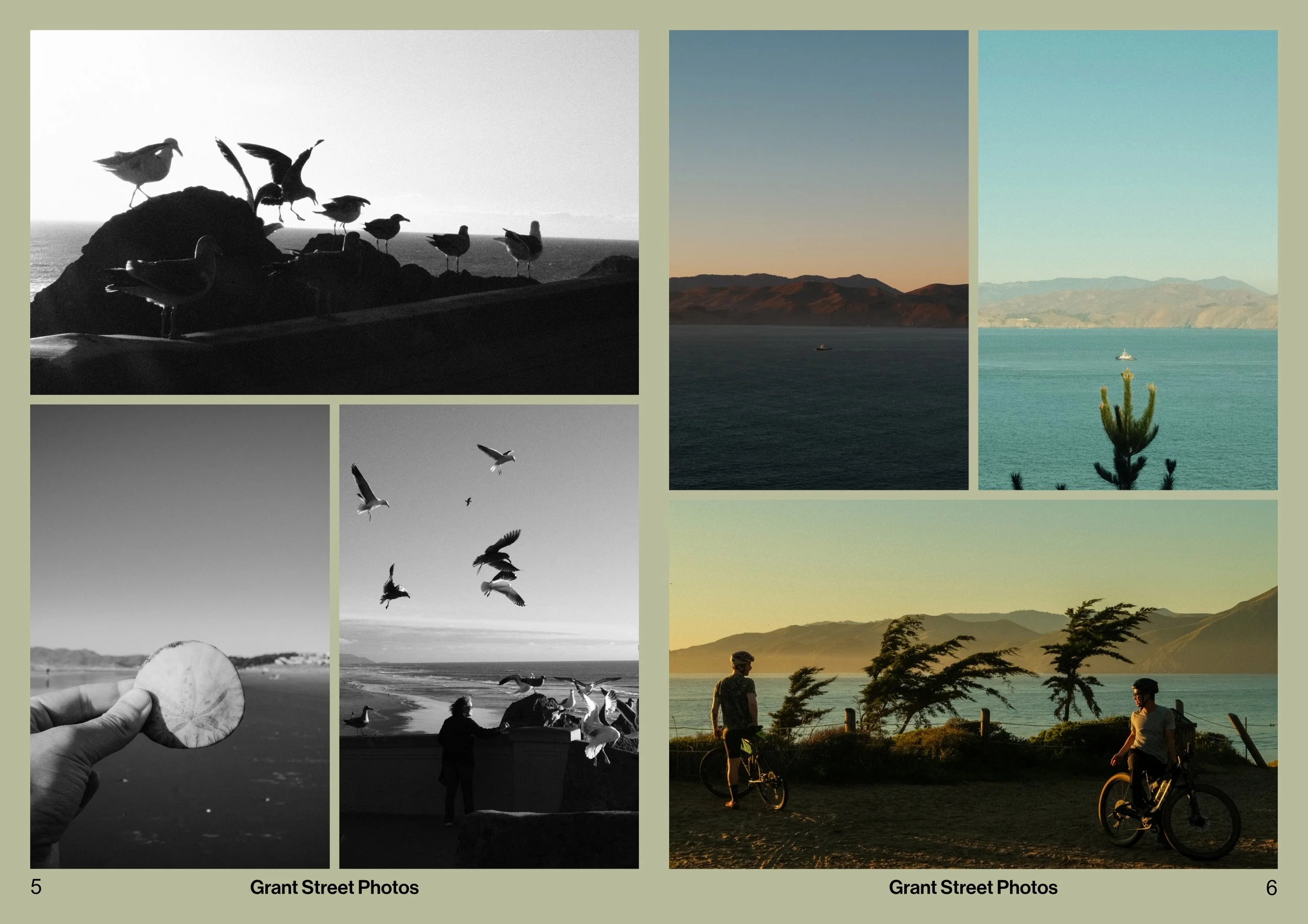 Grant Street Photos Zine Pages.V1_3.jpg