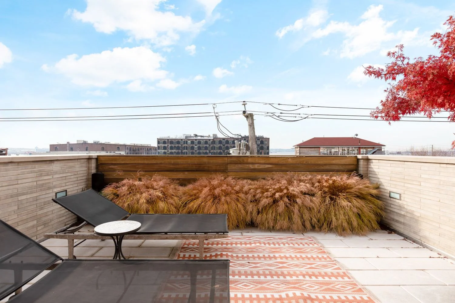 156 Beard_Staged_17.jpg