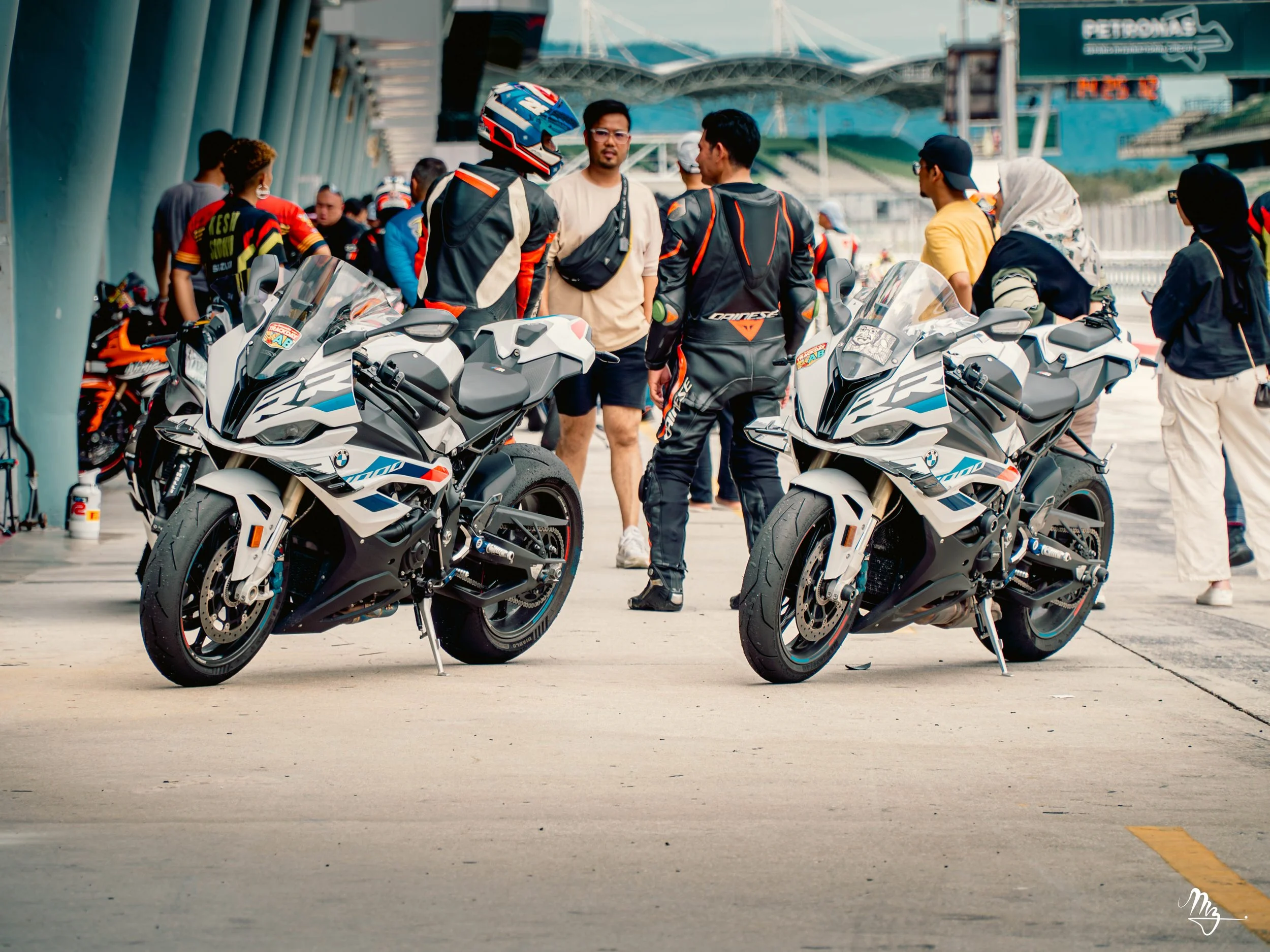 MZ101378-Enhanced-NR.jpg