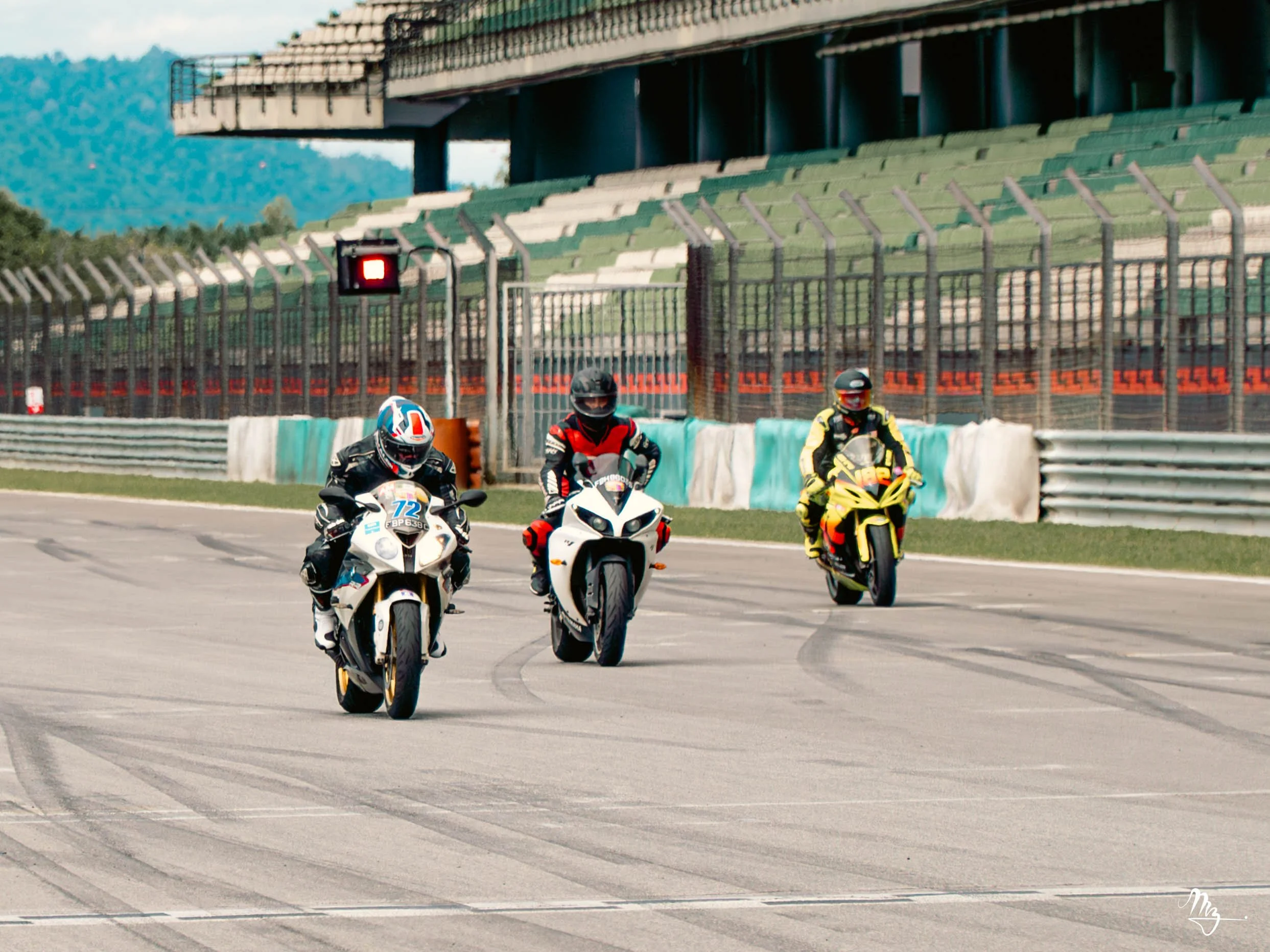 MZ101833-Enhanced-NR.jpg
