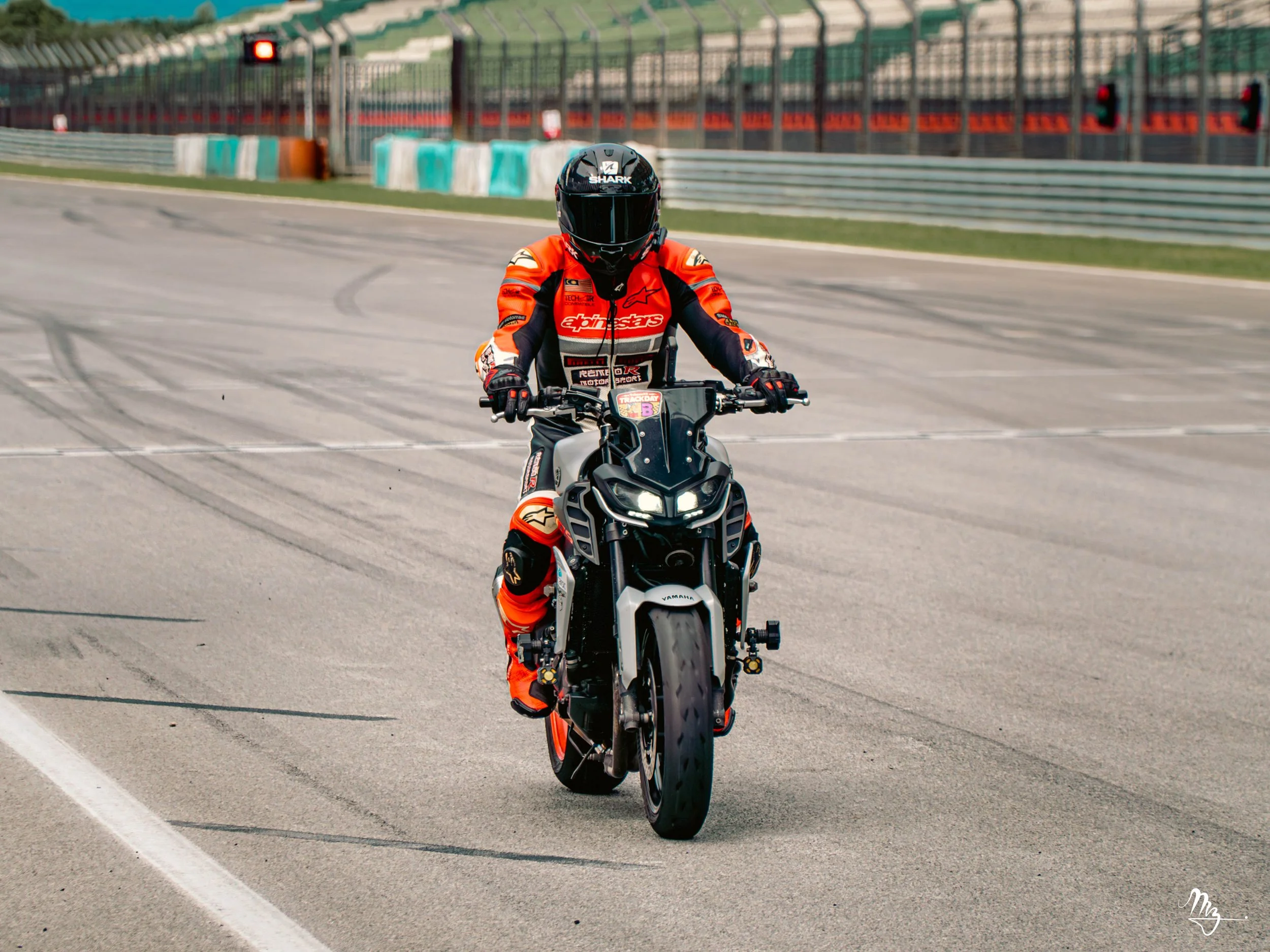 MZ101869-Enhanced-NR.jpg