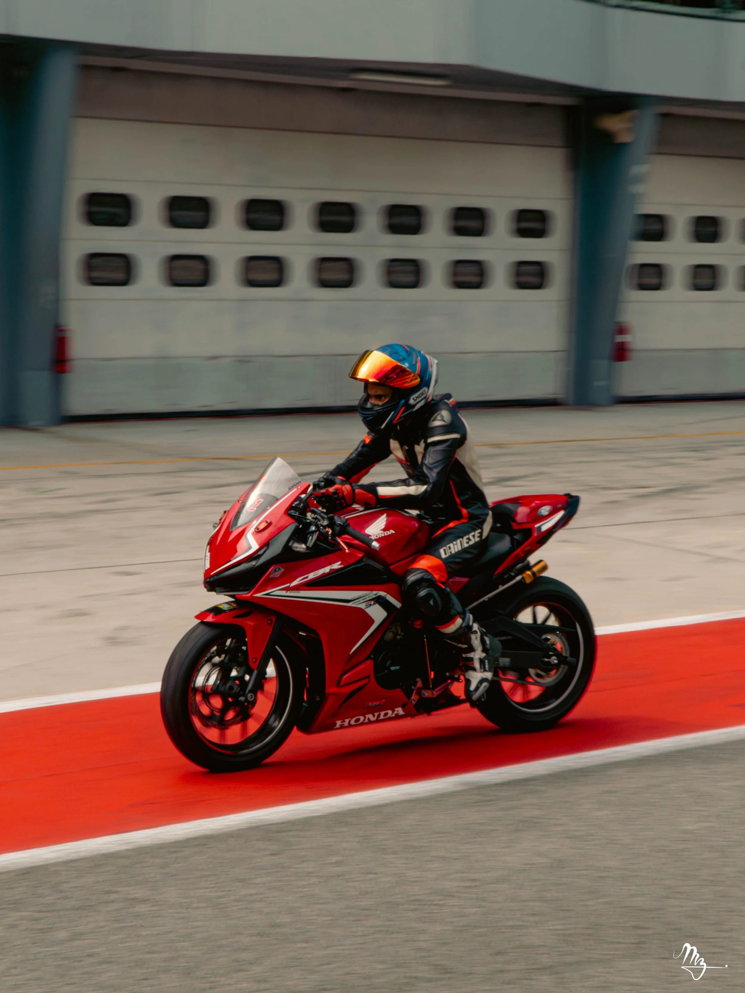 MZ103901-Enhanced-NR.jpg