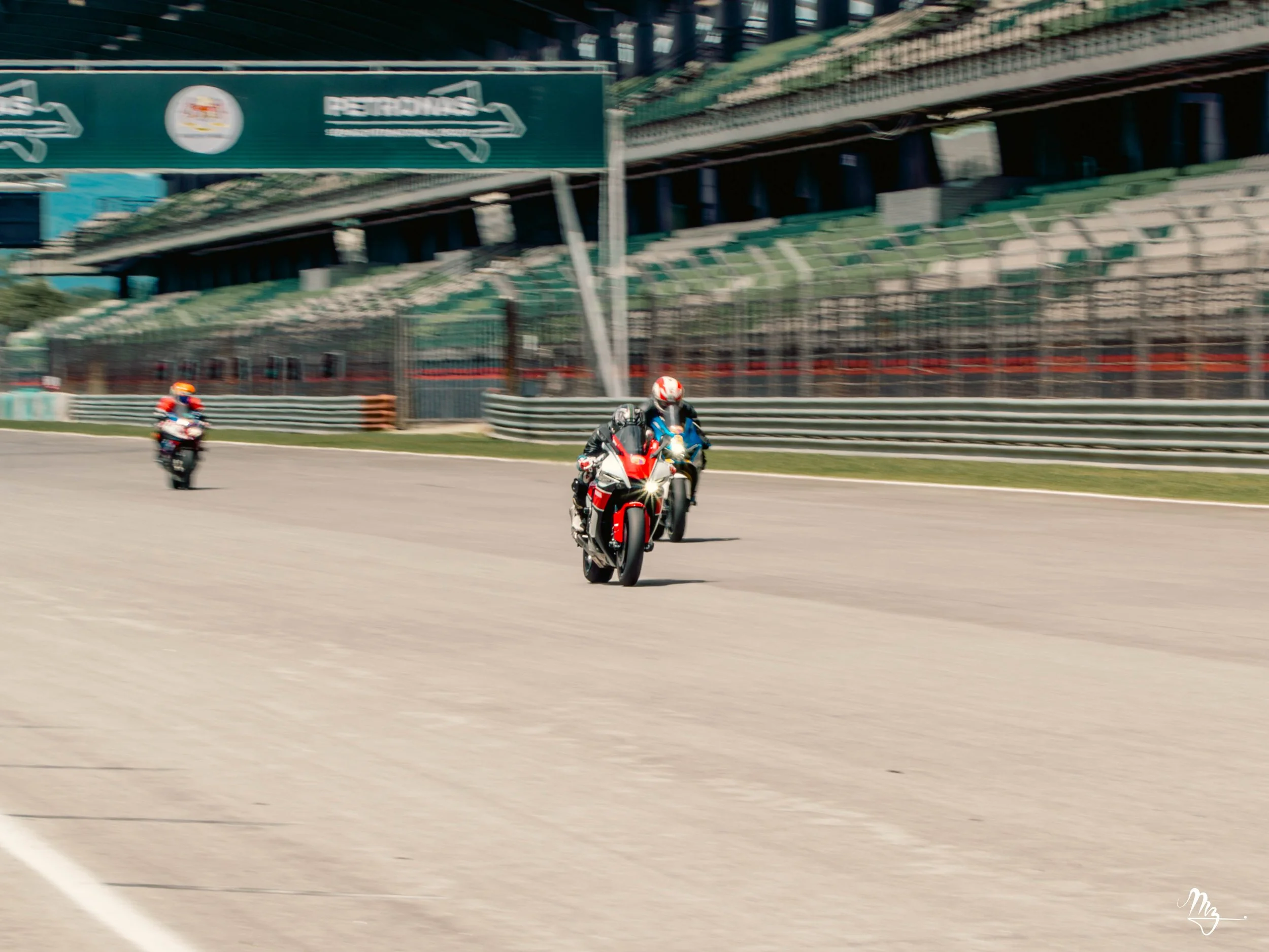 MZ101267-Enhanced-NR.jpg
