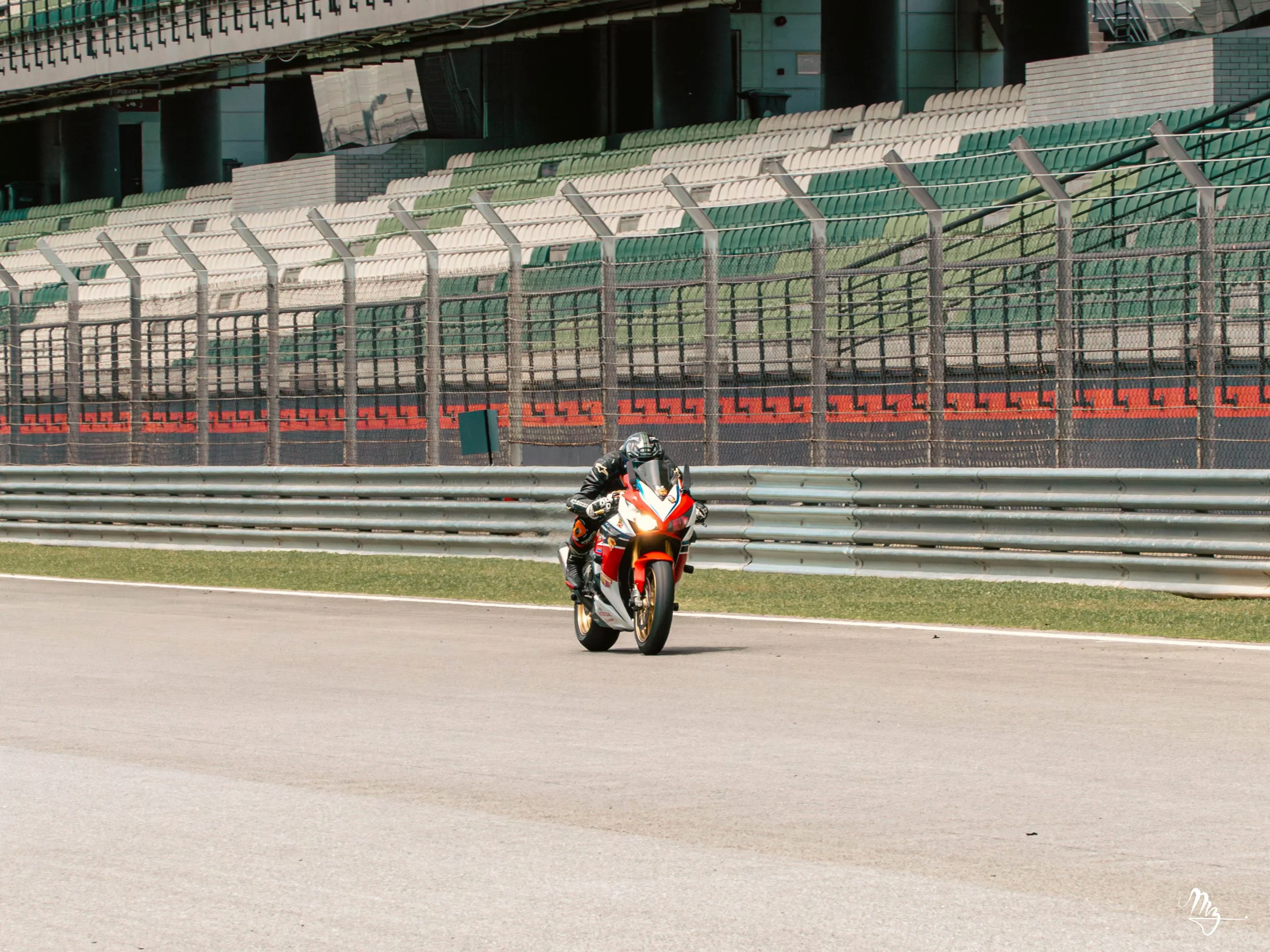 MZ101321-Enhanced-NR.jpg