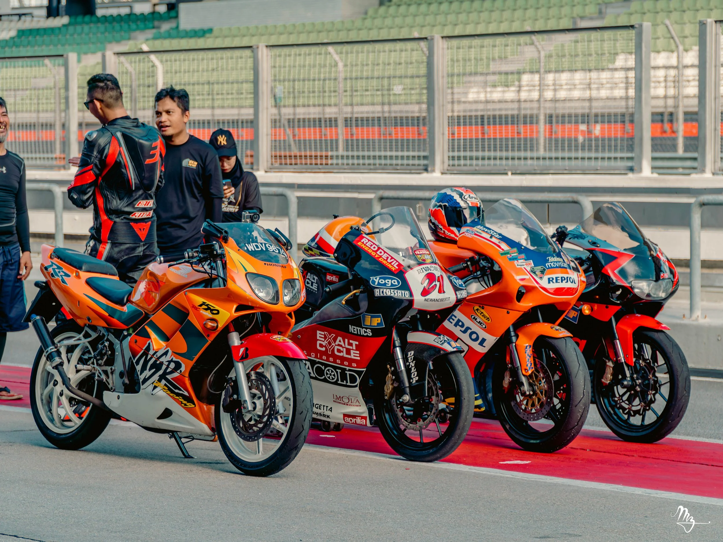 MZ104799-Enhanced-NR.jpg