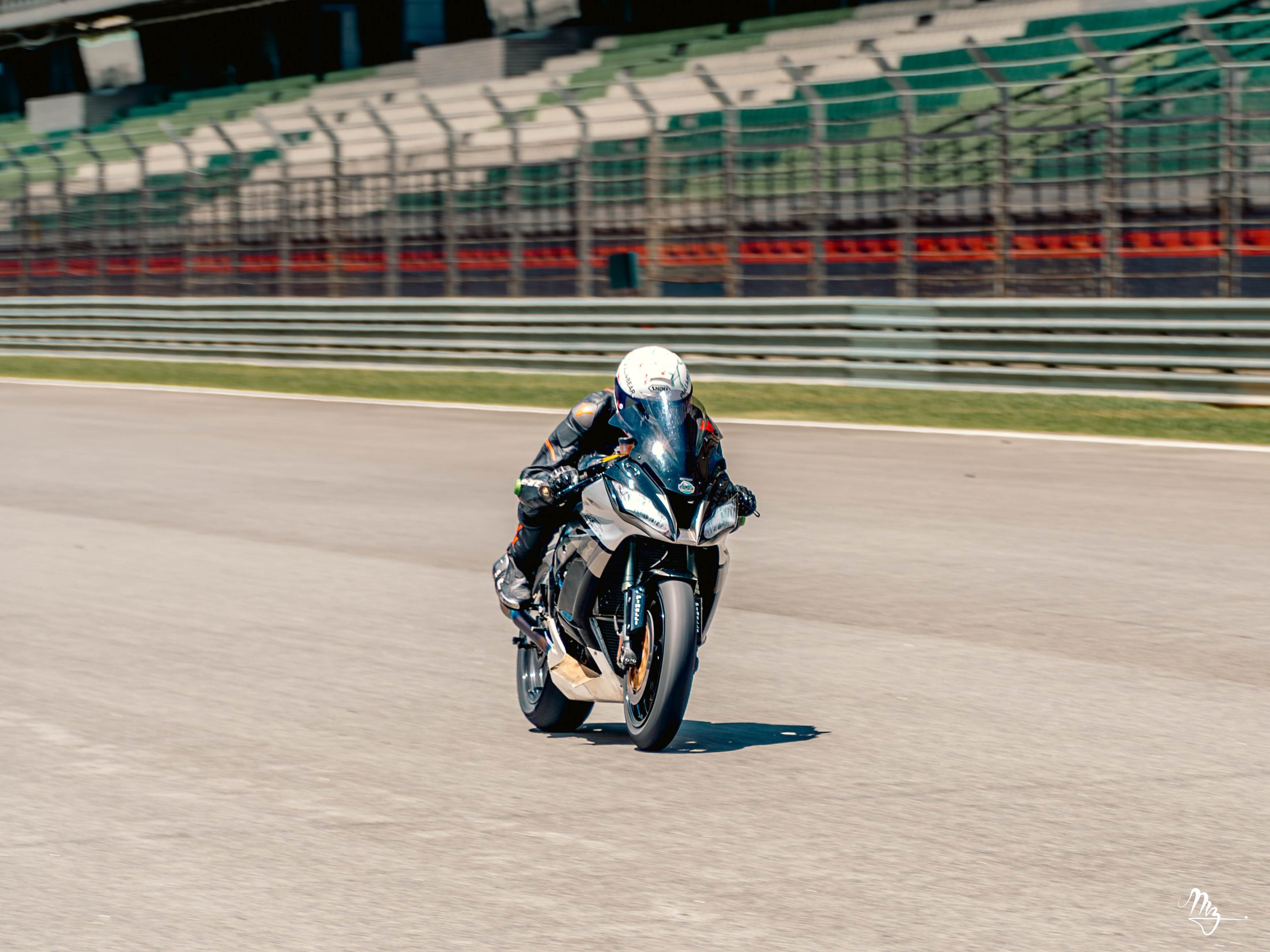 MZ101027-Enhanced-NR.jpg