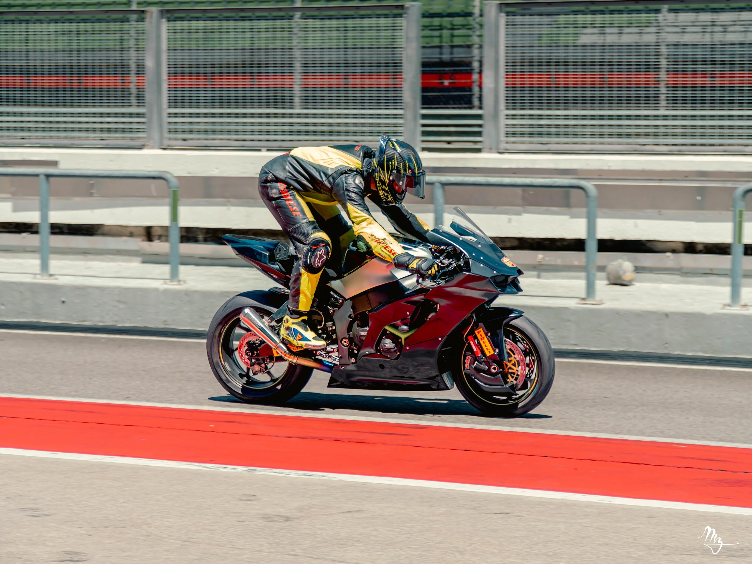 MZ101146-Enhanced-NR.jpg